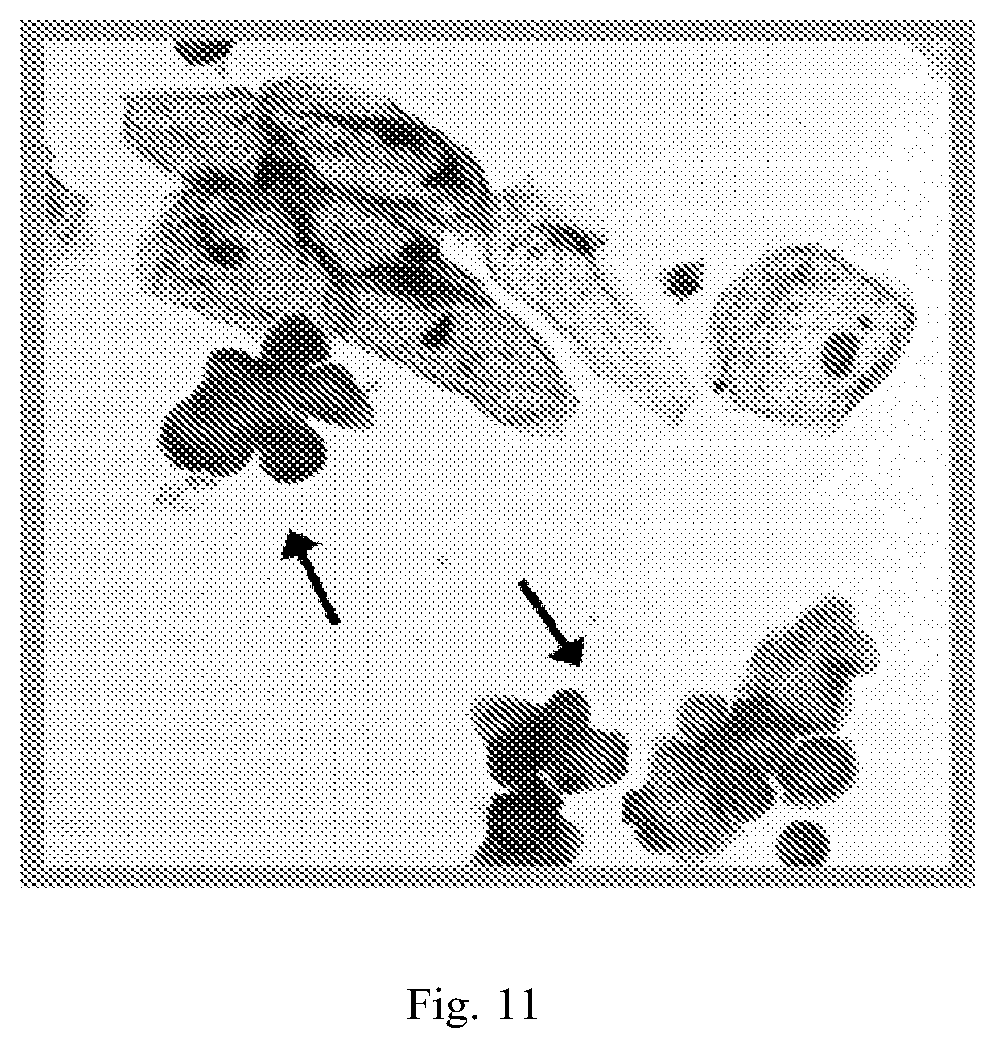 Patent US12319971 Figure 9 – Methods for prostate cancer detection