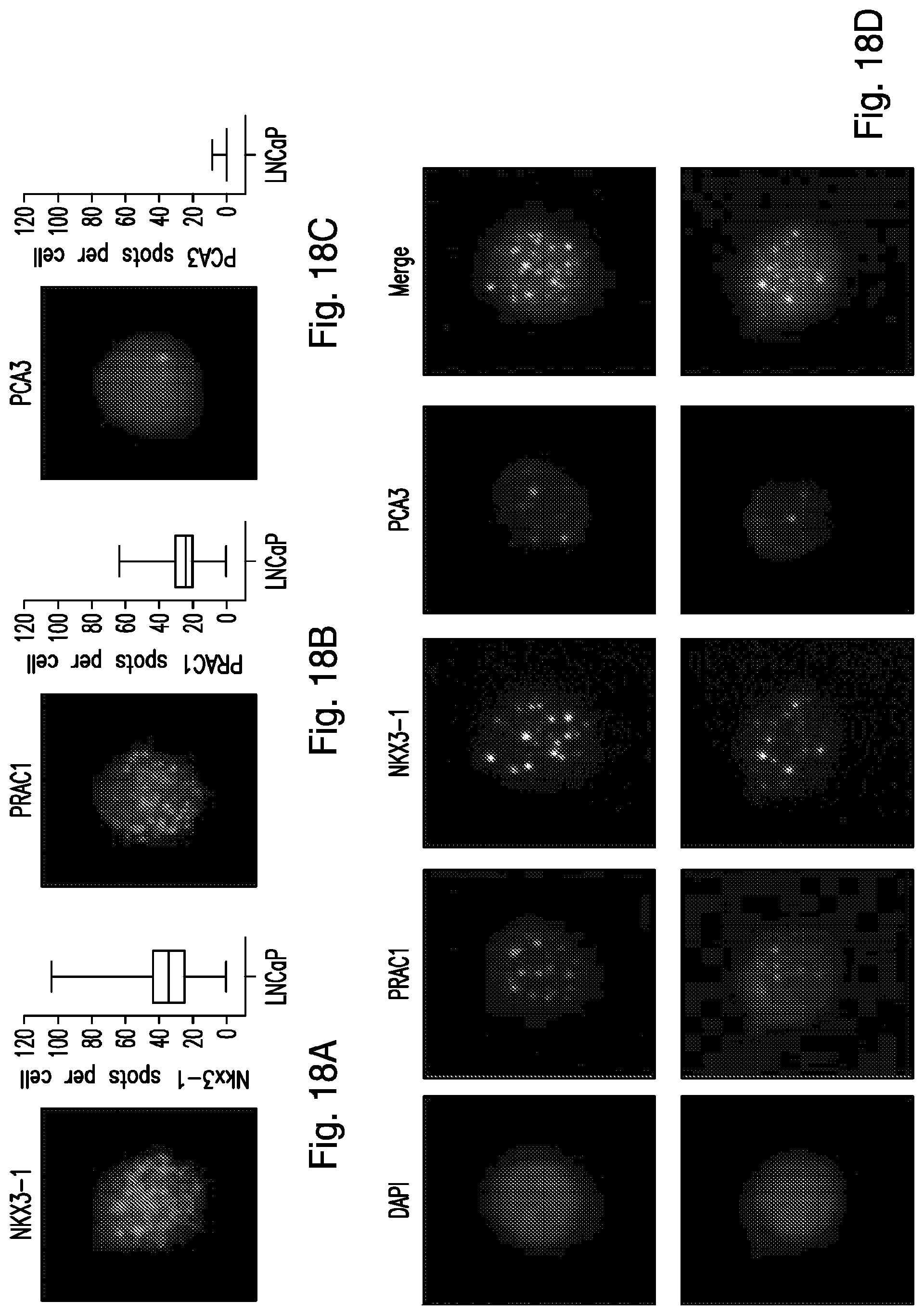 Patent US12319971 Figure 16 – Methods for prostate cancer detection