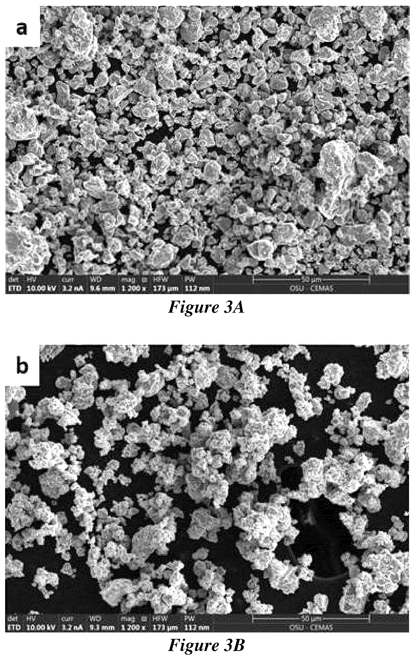 Patent US12319984 Figure 3 – Metal matrix composites and methods of making and use thereof