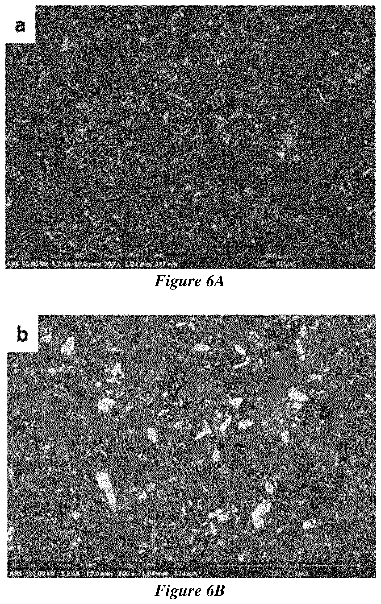 Patent US12319984 Figure 6 – Metal matrix composites and methods of making and use thereof