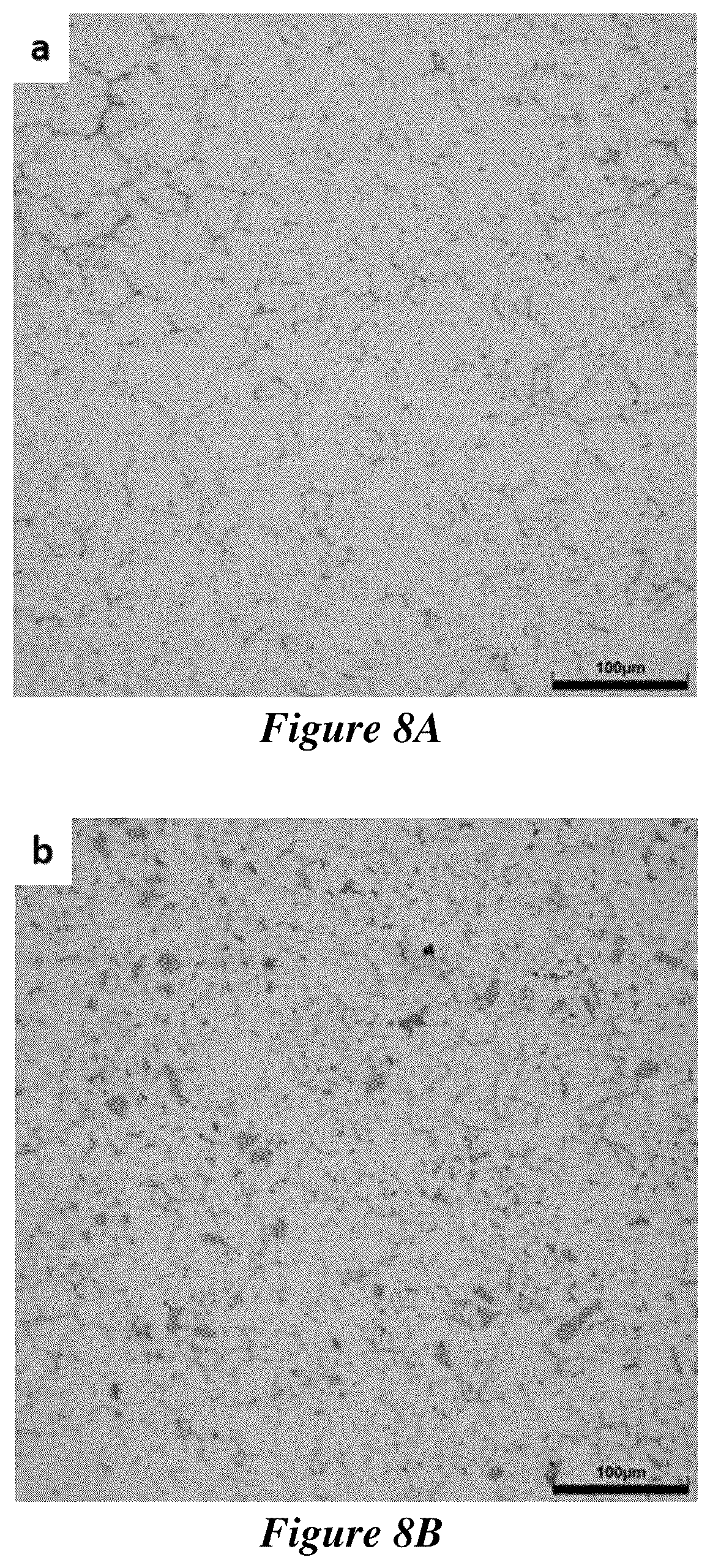 Patent US12319984 Figure 8 – Metal matrix composites and methods of making and use thereof
