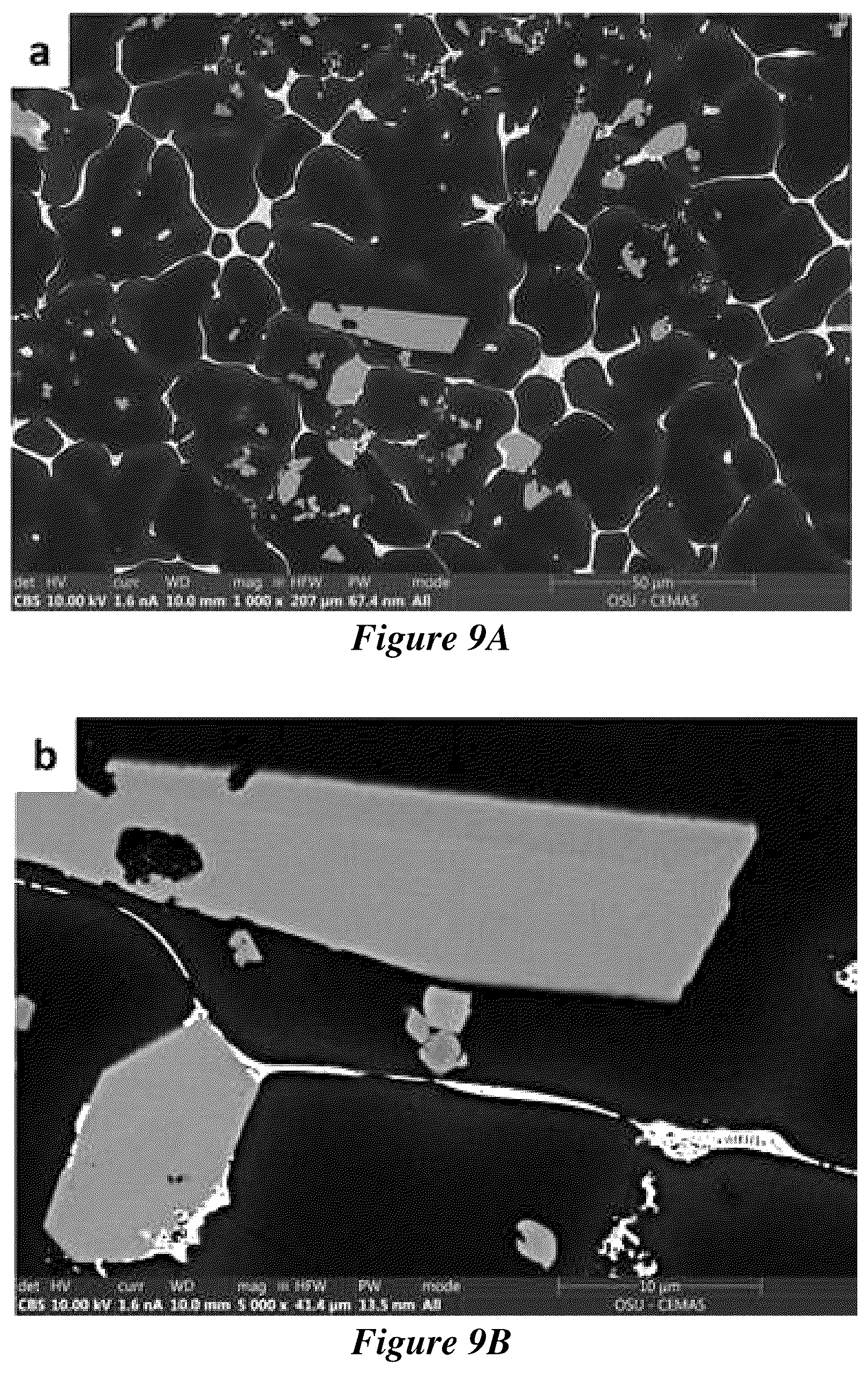 Patent US12319984 Figure 9 – Metal matrix composites and methods of making and use thereof