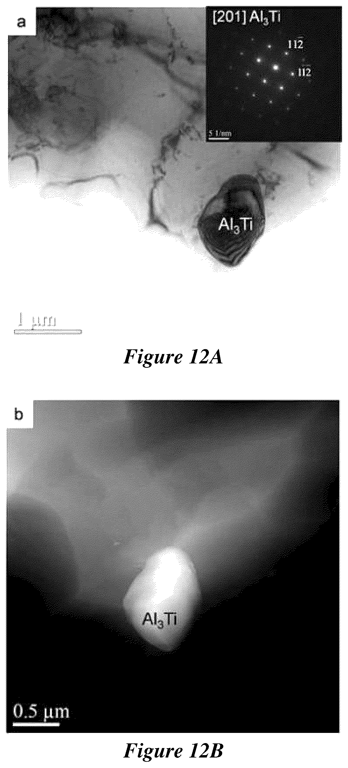 Patent US12319984 Figure 11 – Metal matrix composites and methods of making and use thereof