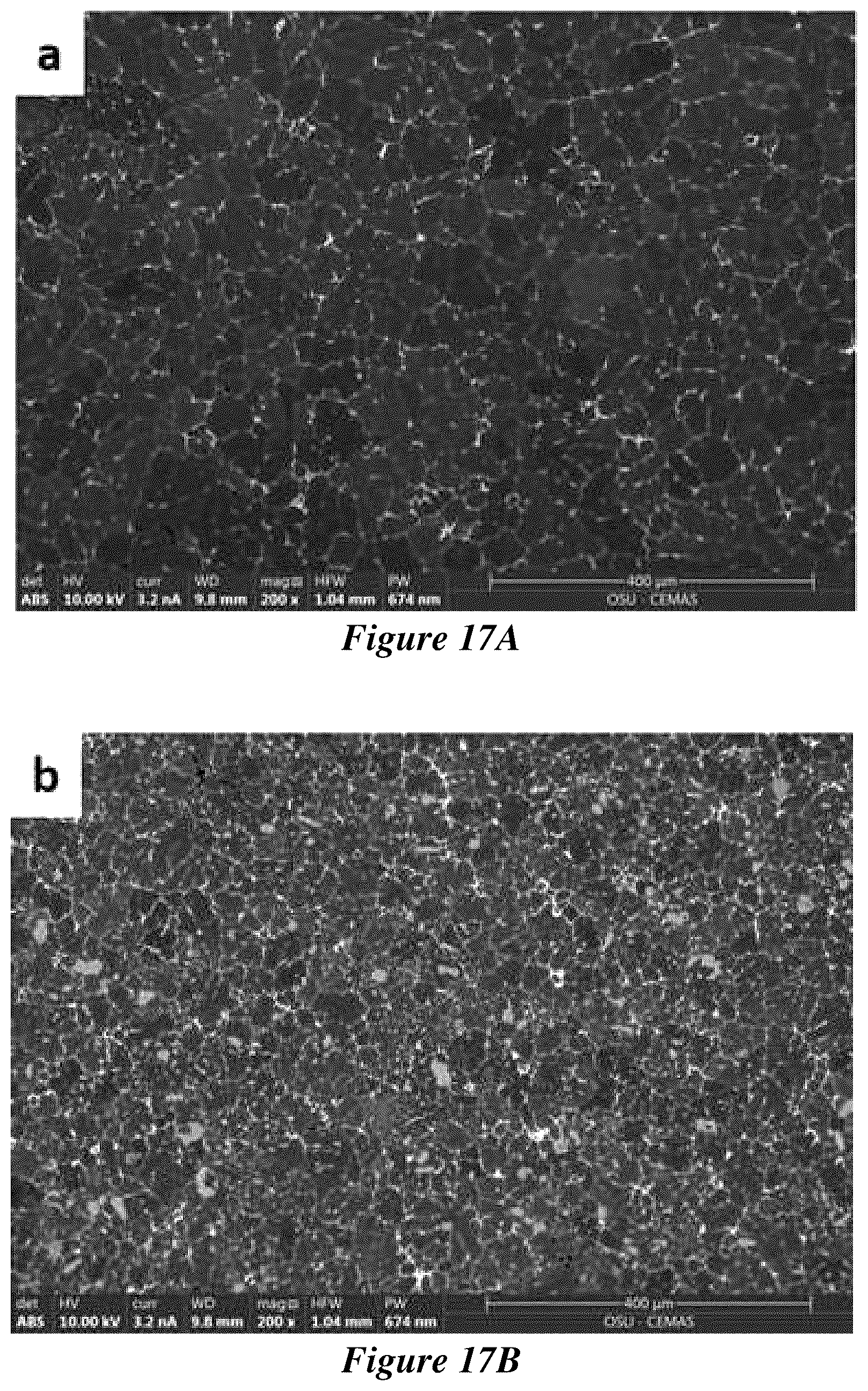Patent US12319984 Figure 16 – Metal matrix composites and methods of making and use thereof