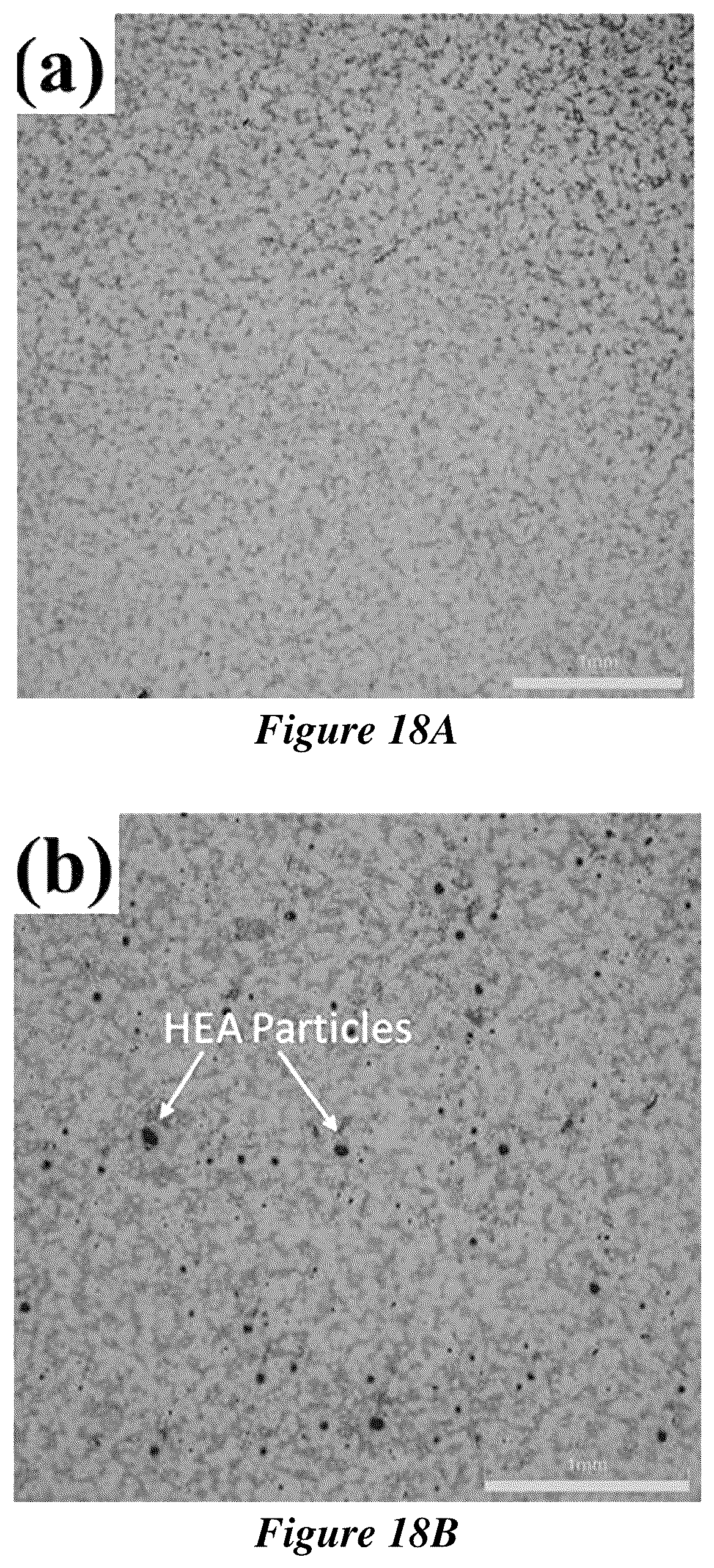 Patent US12319984 Figure 17 – Metal matrix composites and methods of making and use thereof
