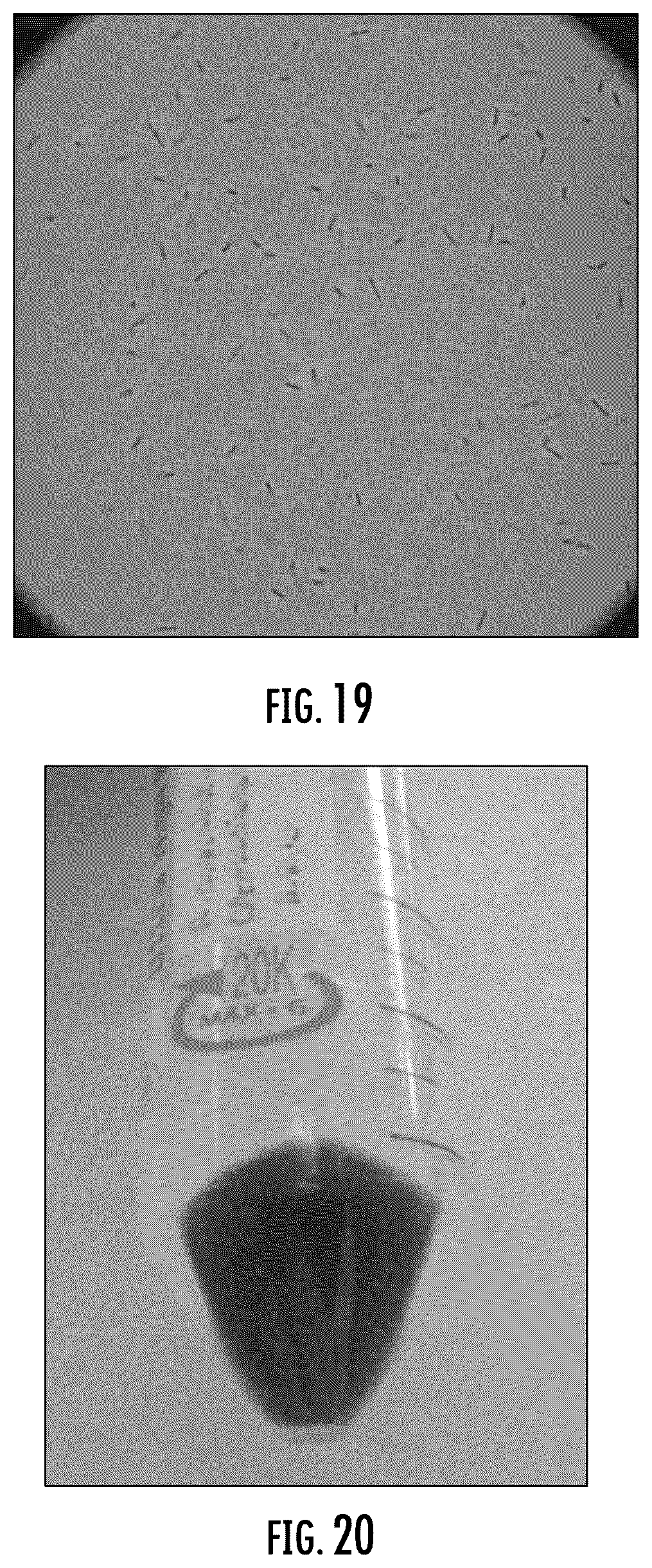 Patent US12320014 Figure 13 – Microorganisms and artificial ecosystems for the production of protein, food, and useful co-products from C1 substrates