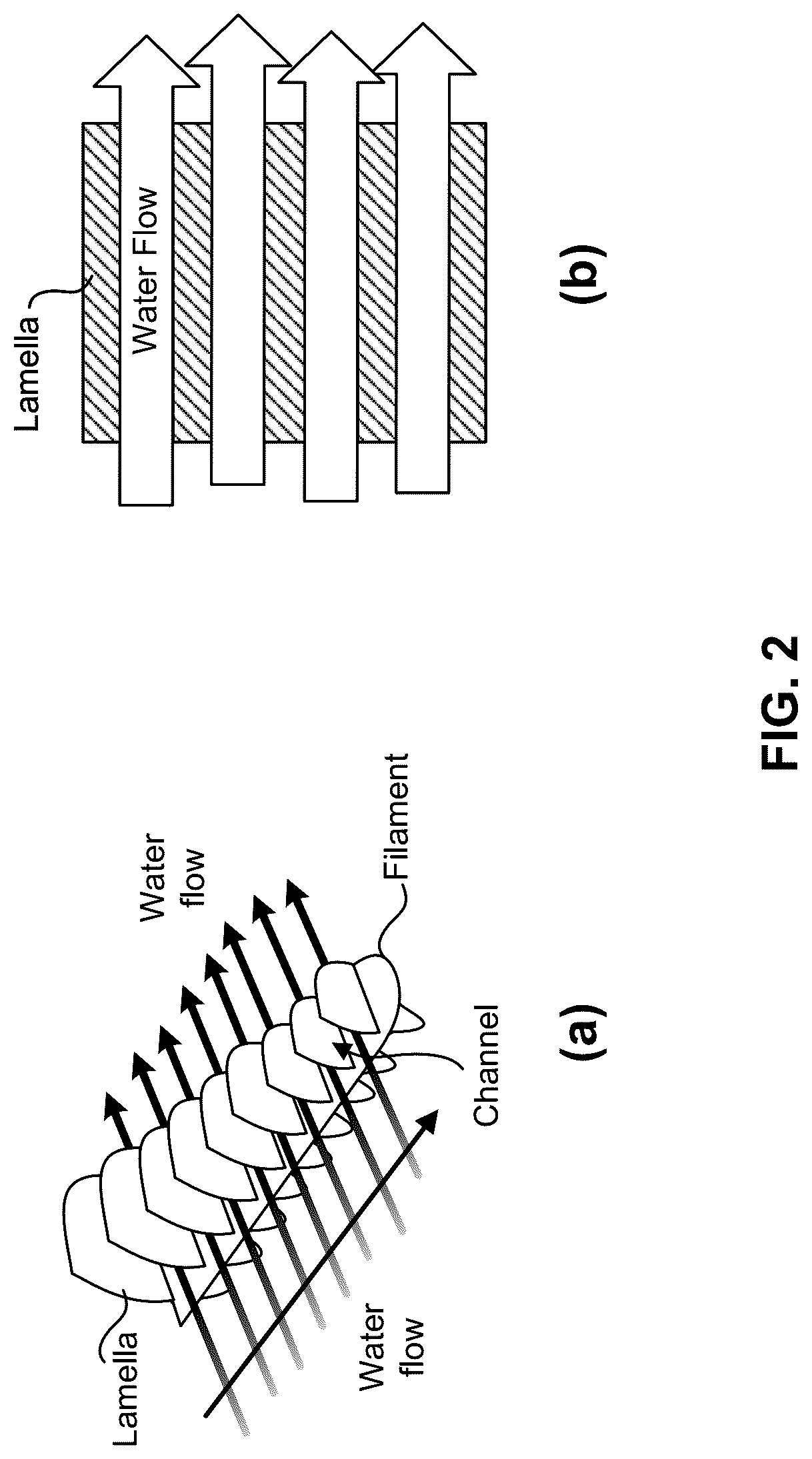 Patent US12320018 Figure 3 – Corrugated electrodes for electrochemical applications