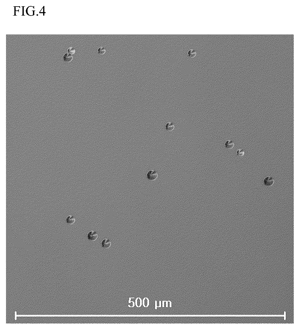 Patent US12320033 Figure 4 – Silicon carbide wafer and method of preparing the same