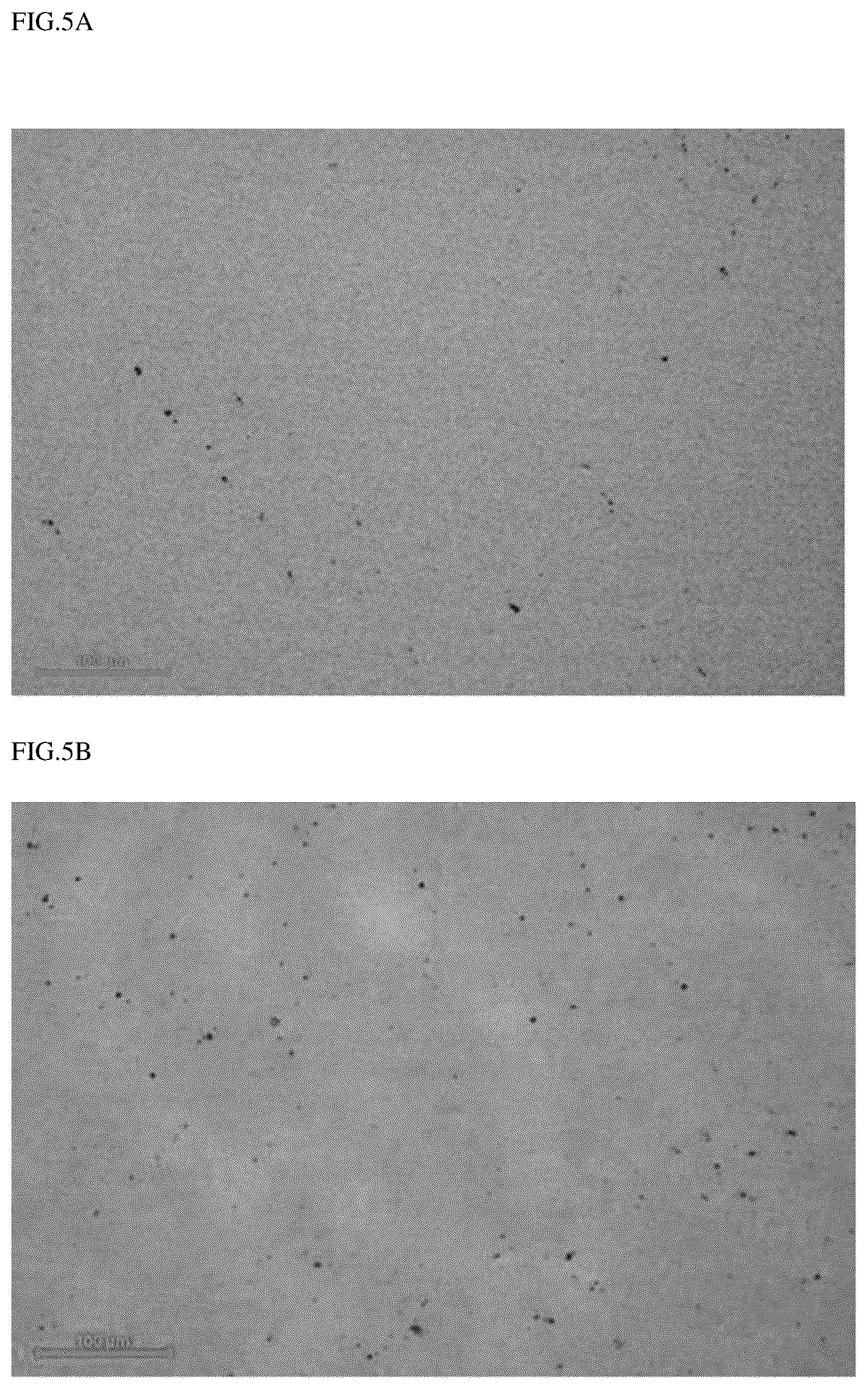 Patent US12320033 Figure 5 – Silicon carbide wafer and method of preparing the same