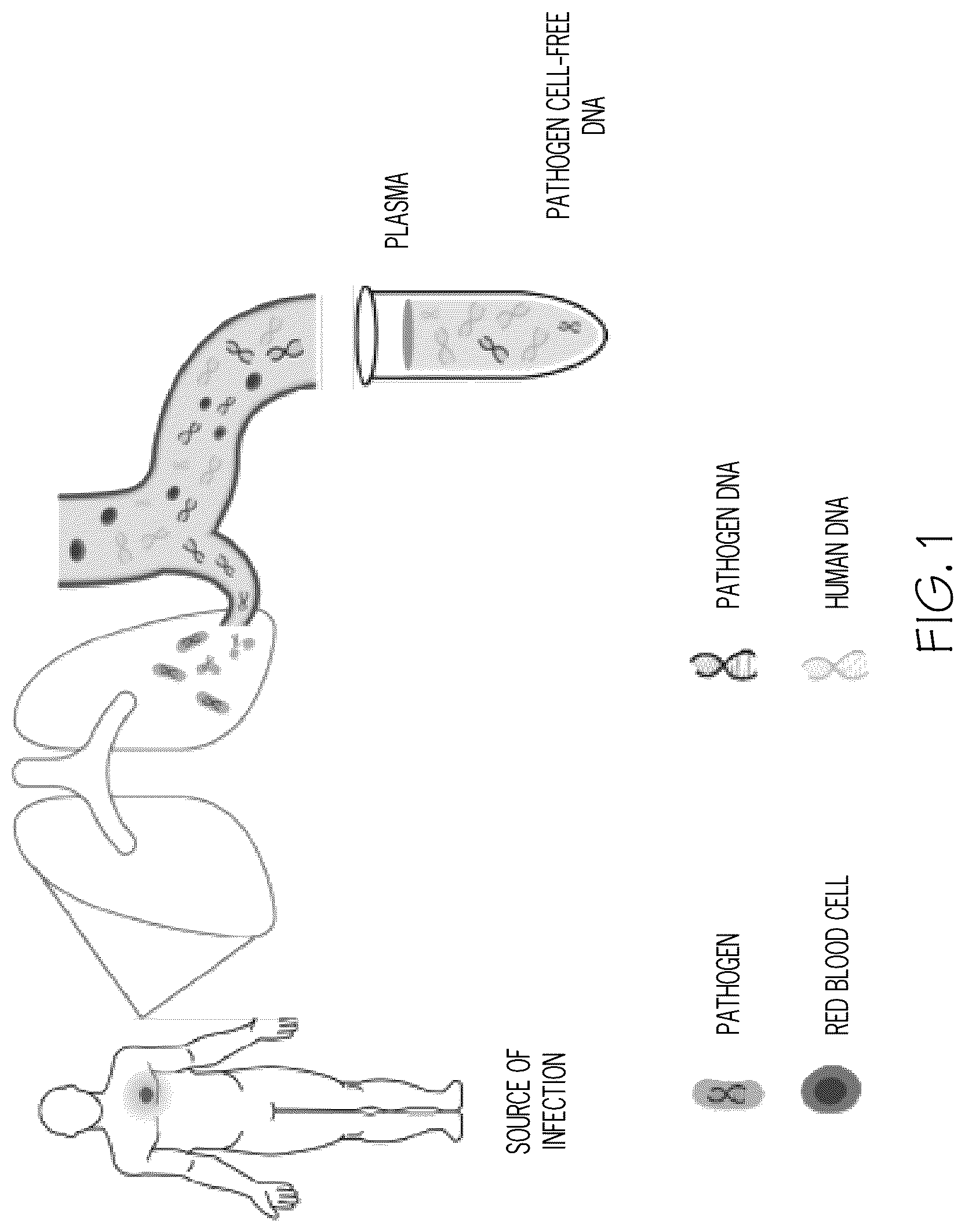 Patent US12320036 Figure 1 – Direct-to-library methods, systems, and compositions