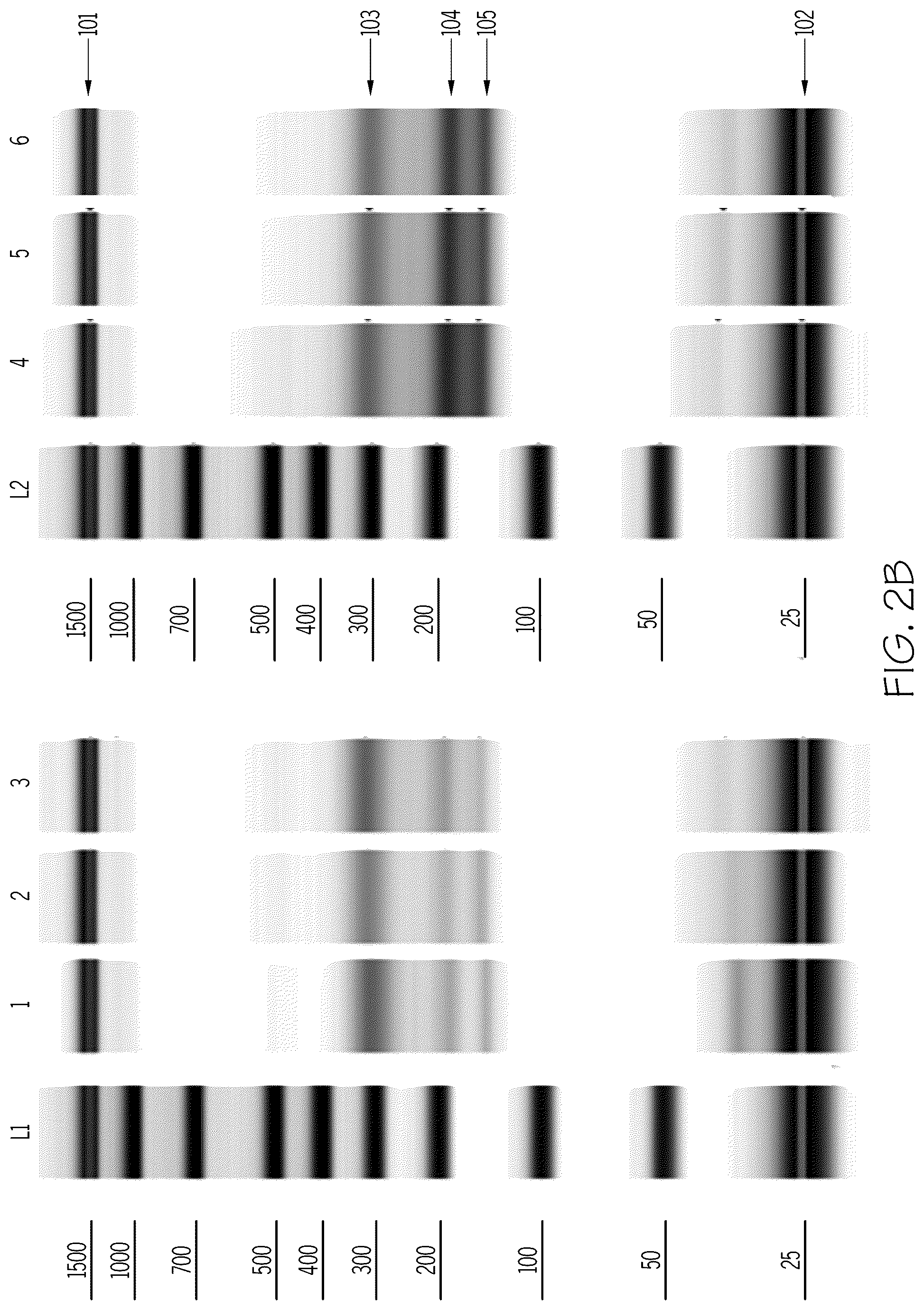 Patent US12320036 Figure 3 – Direct-to-library methods, systems, and compositions