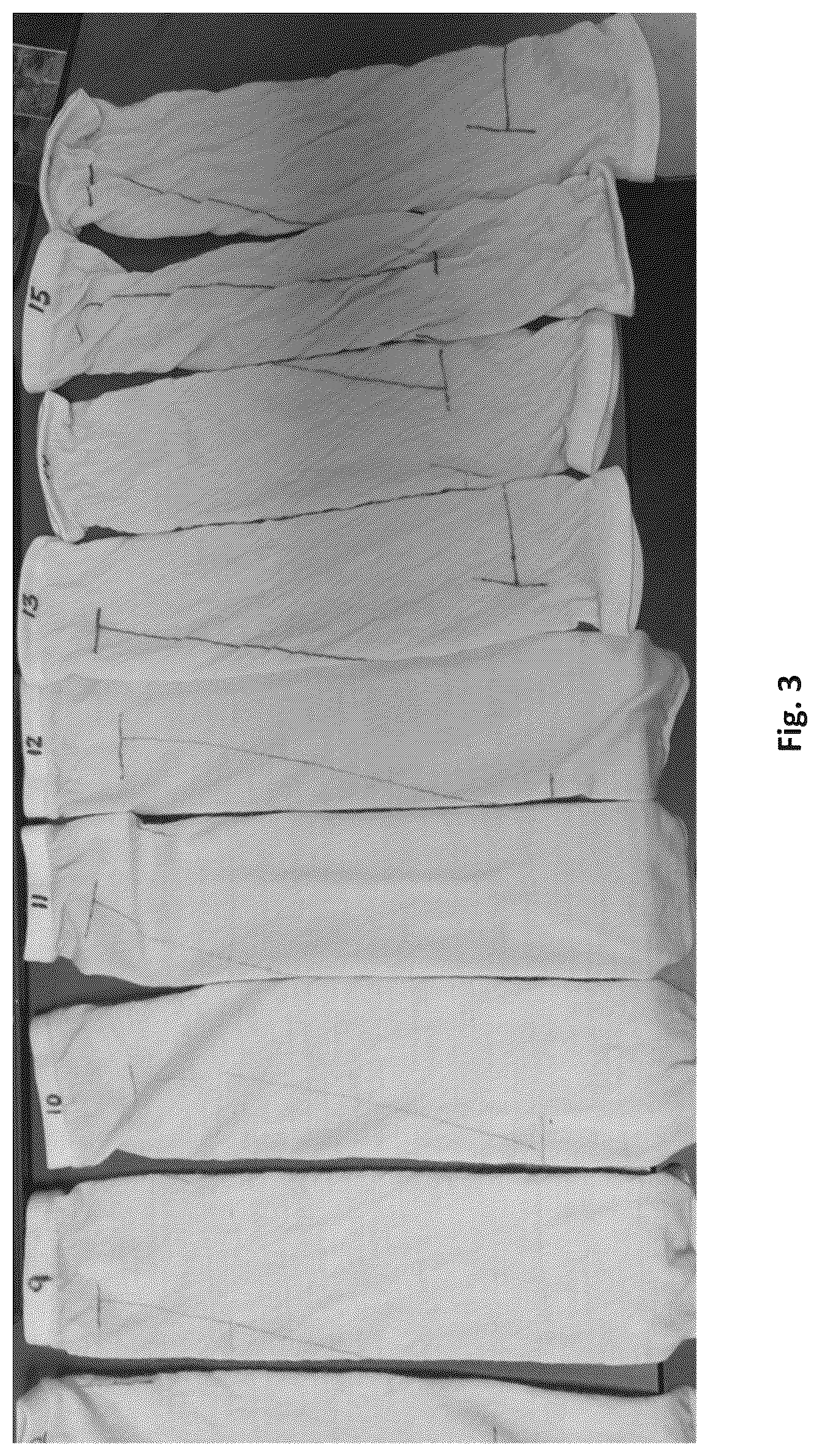 Patent US12320060 Figure 3 – Silk coated fabrics and products and methods of preparing the same