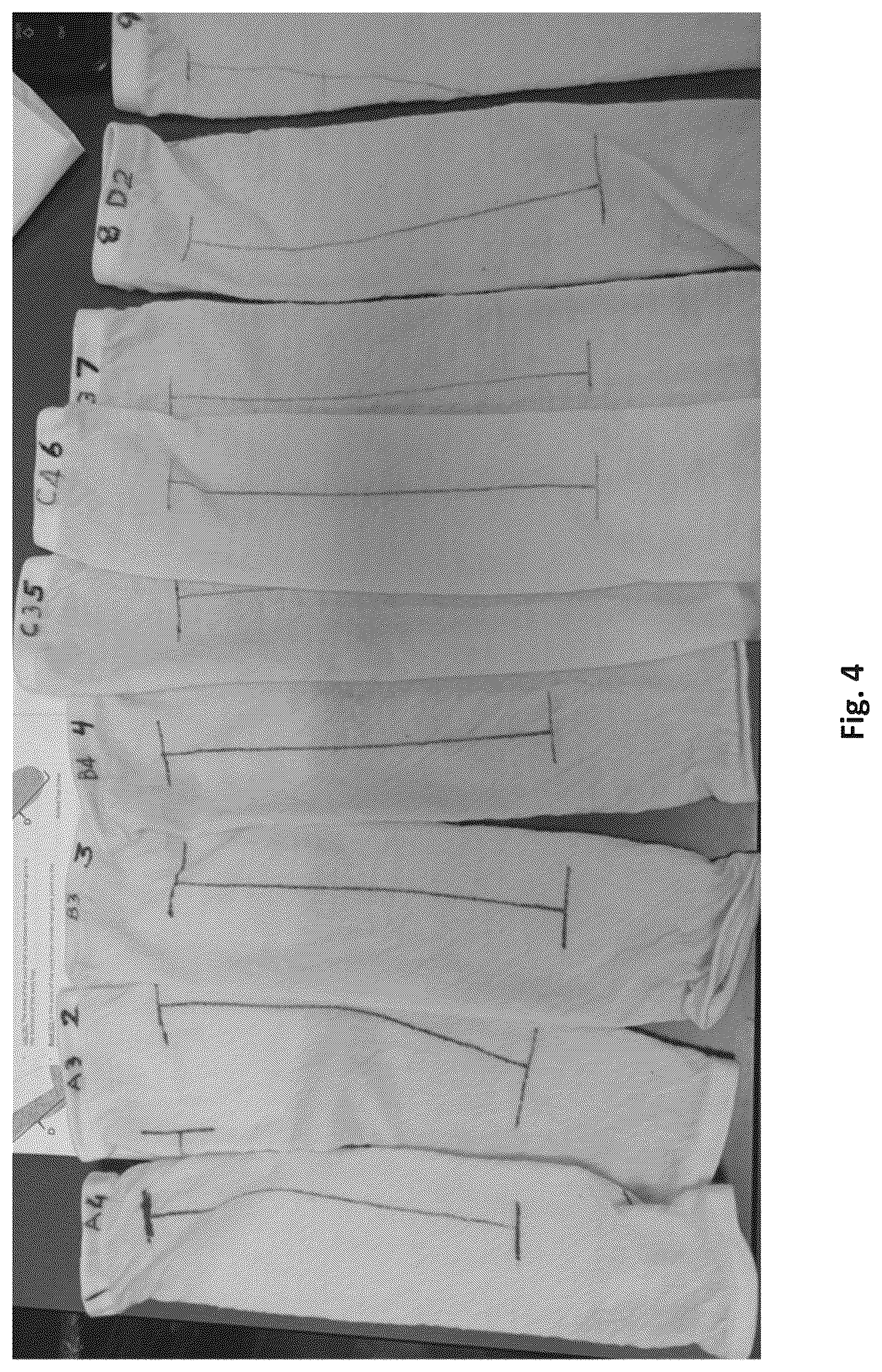 Patent US12320060 Figure 4 – Silk coated fabrics and products and methods of preparing the same