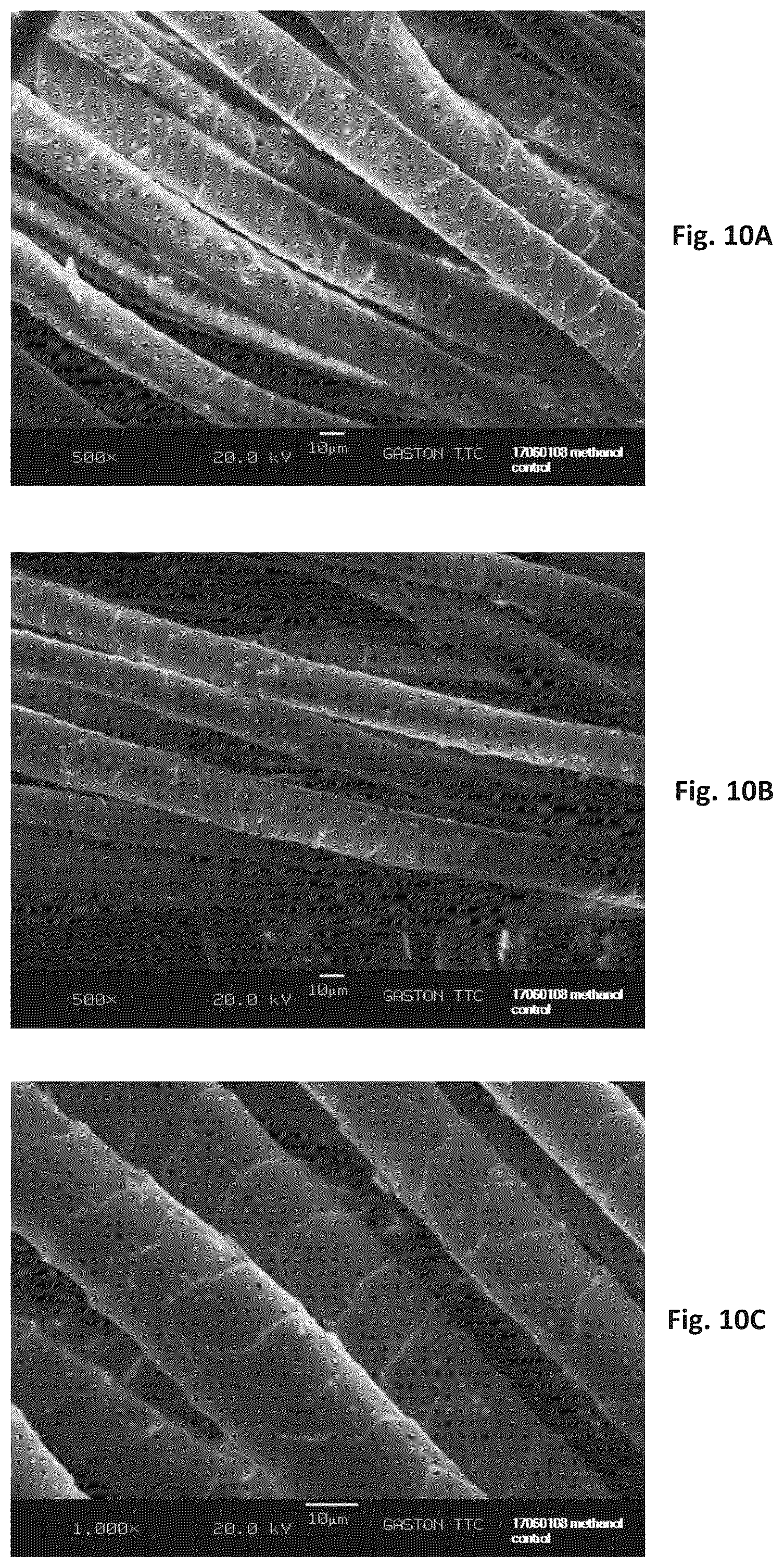Patent US12320060 Figure 10 – Silk coated fabrics and products and methods of preparing the same