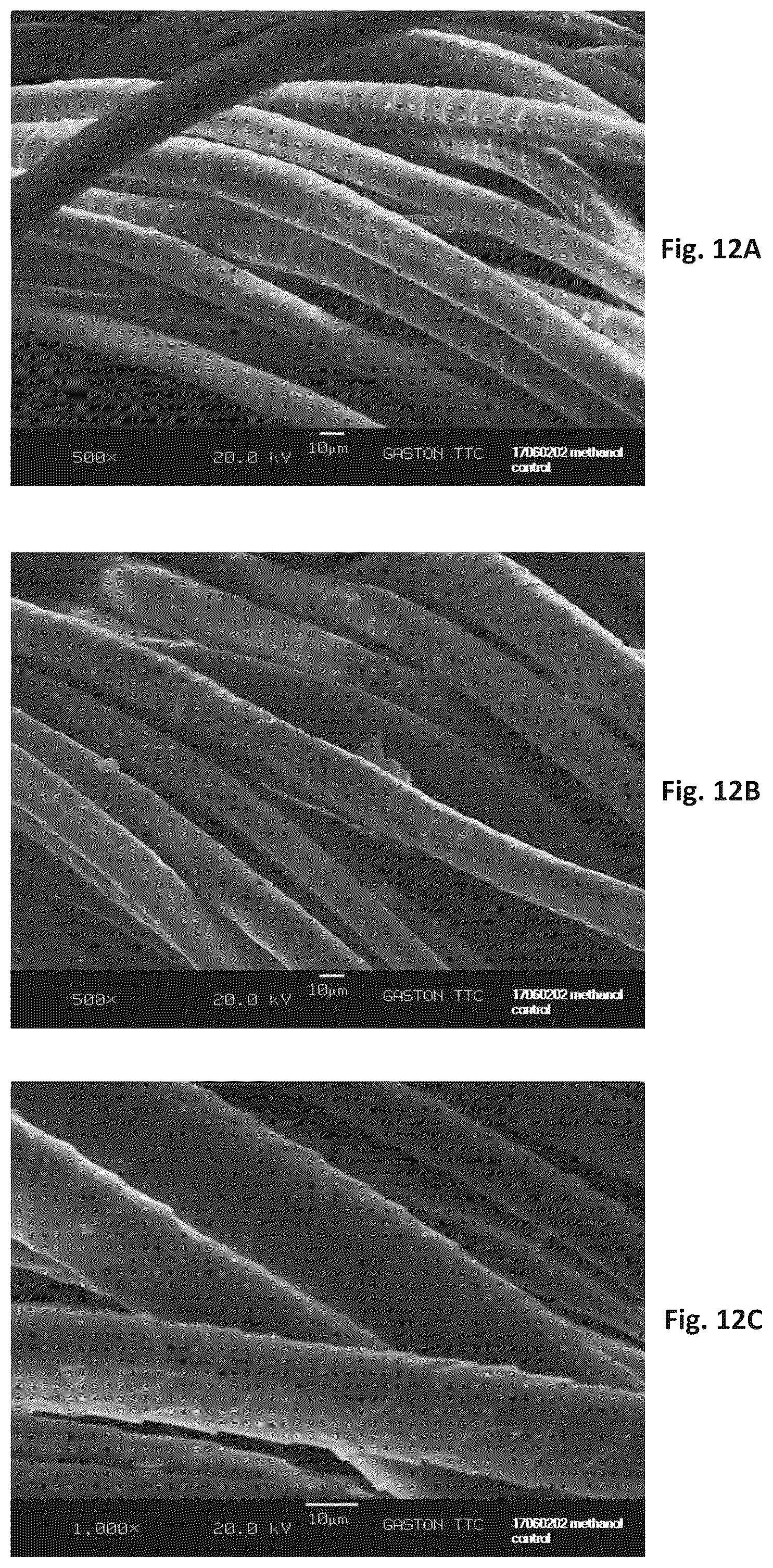 Patent US12320060 Figure 12 – Silk coated fabrics and products and methods of preparing the same