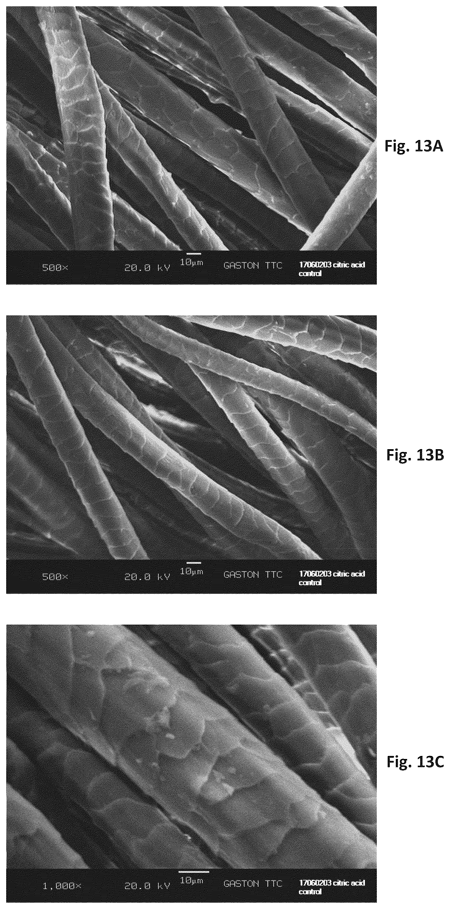 Patent US12320060 Figure 13 – Silk coated fabrics and products and methods of preparing the same