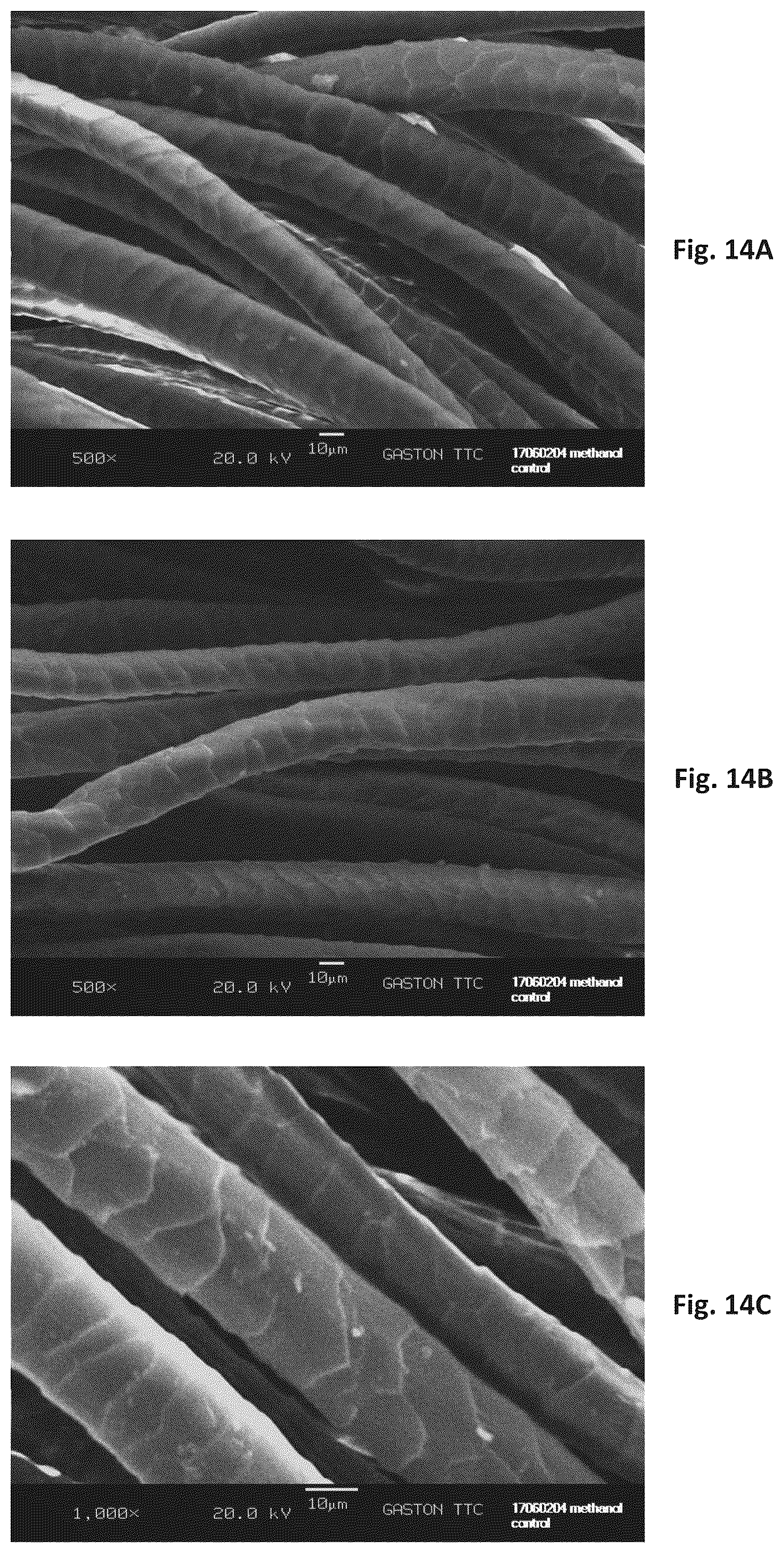 Patent US12320060 Figure 14 – Silk coated fabrics and products and methods of preparing the same