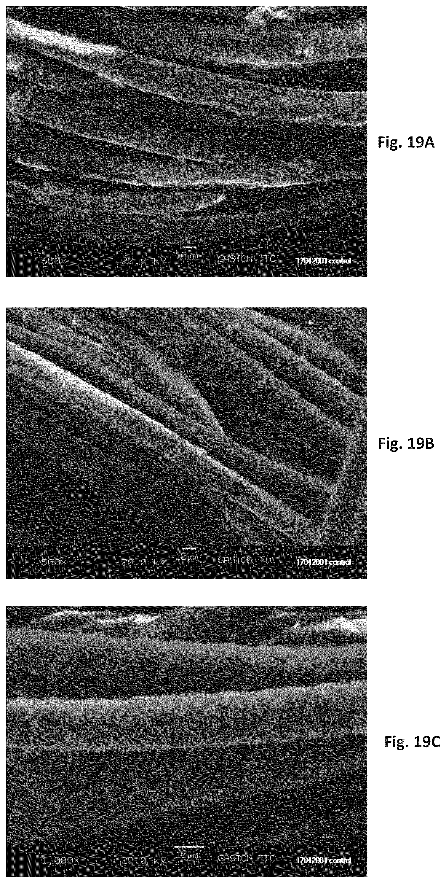 Patent US12320060 Figure 19 – Silk coated fabrics and products and methods of preparing the same
