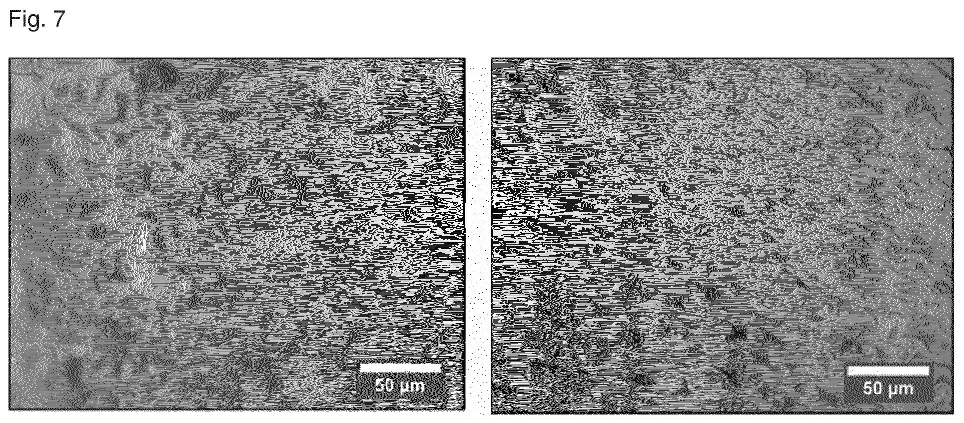 Patent US12320065 Figure 5 – Method for producing densified cellulosic composite material