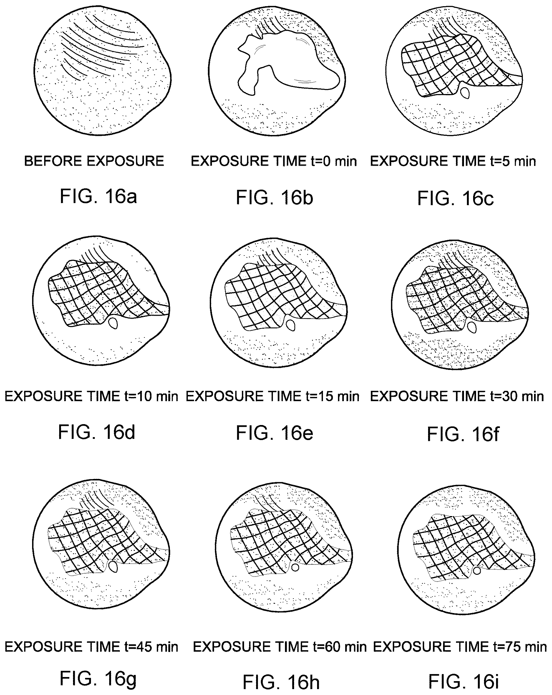 Patent US12320066 Figure 5 – Modified sulfuric acid and uses thereof
