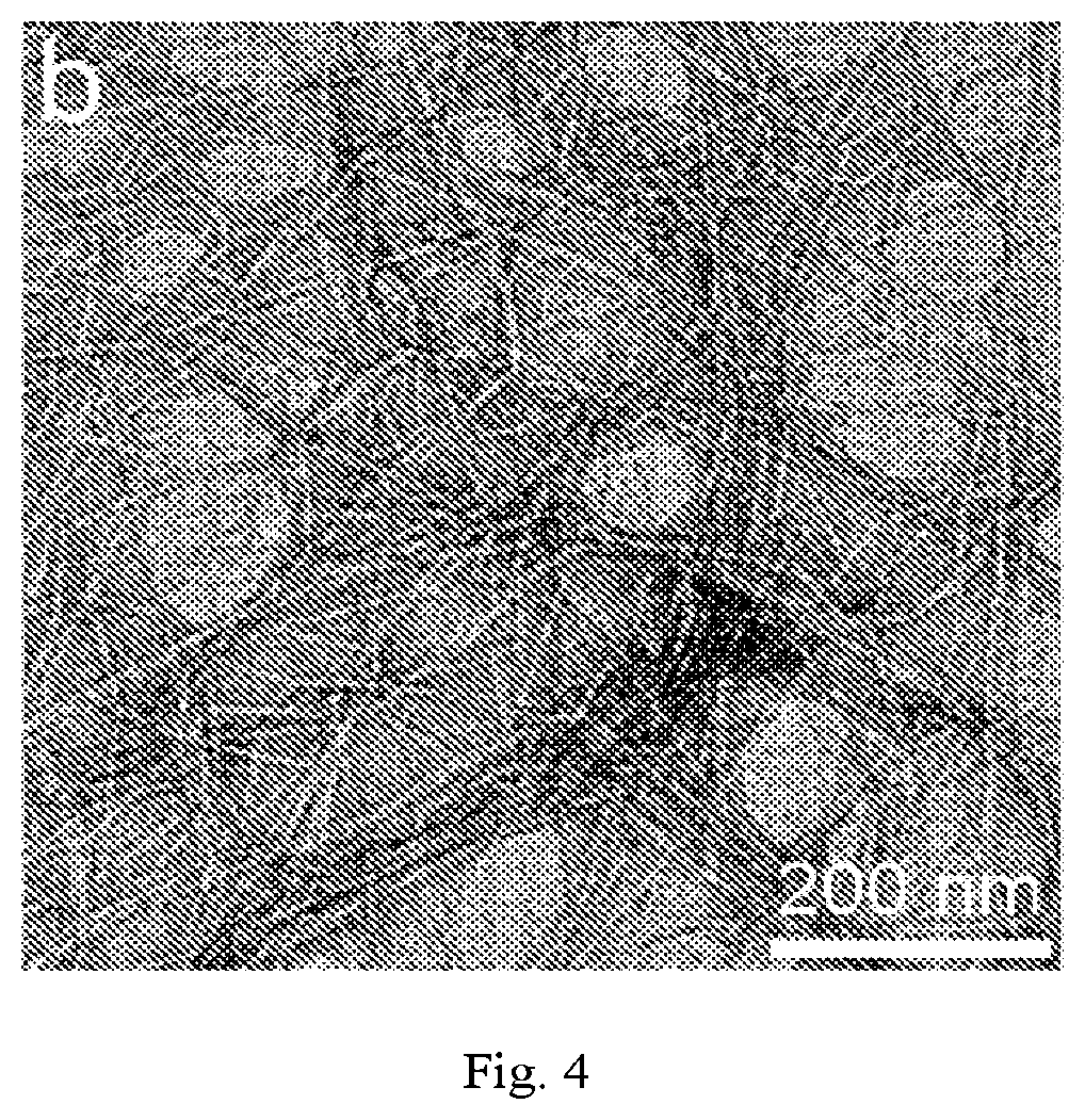 Patent US12320069 Figure 4 – Carboxylated cellulose nanofiber and preparation method thereof