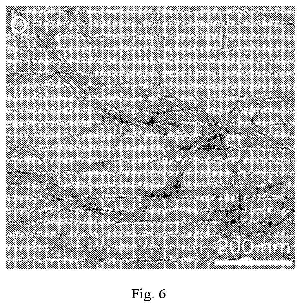 Patent US12320069 Figure 6 – Carboxylated cellulose nanofiber and preparation method thereof