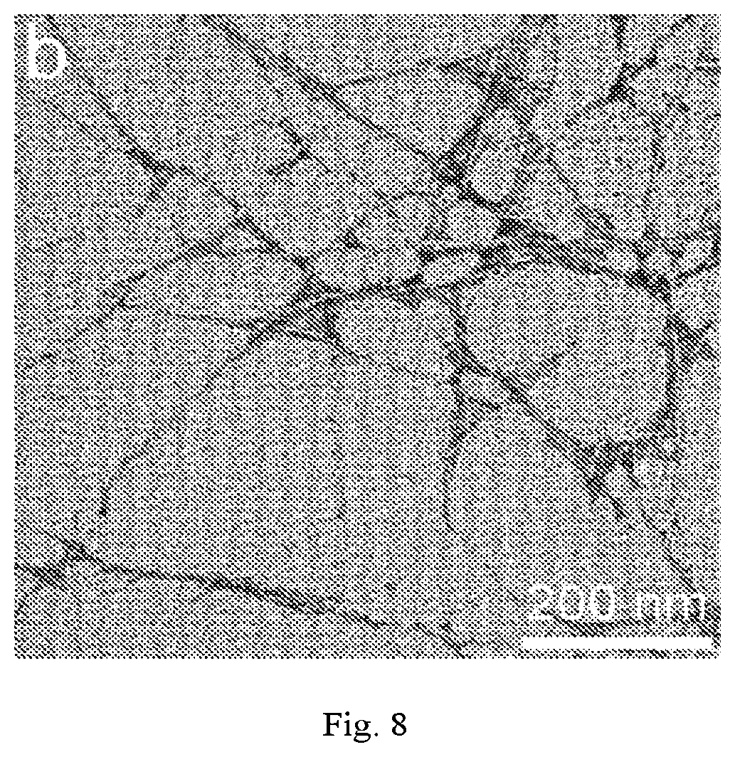 Patent US12320069 Figure 8 – Carboxylated cellulose nanofiber and preparation method thereof