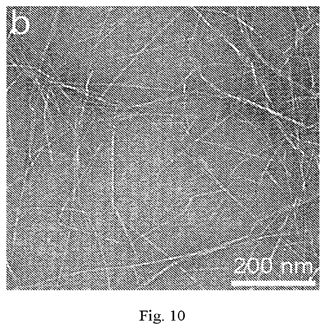 Patent US12320069 Figure 10 – Carboxylated cellulose nanofiber and preparation method thereof