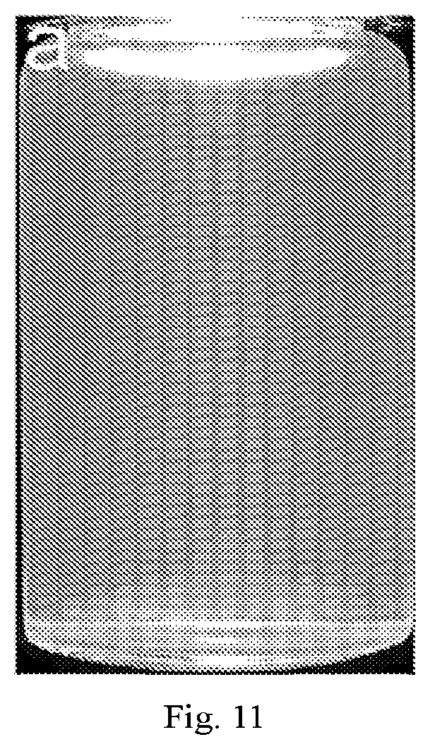 Patent US12320069 Figure 11 – Carboxylated cellulose nanofiber and preparation method thereof