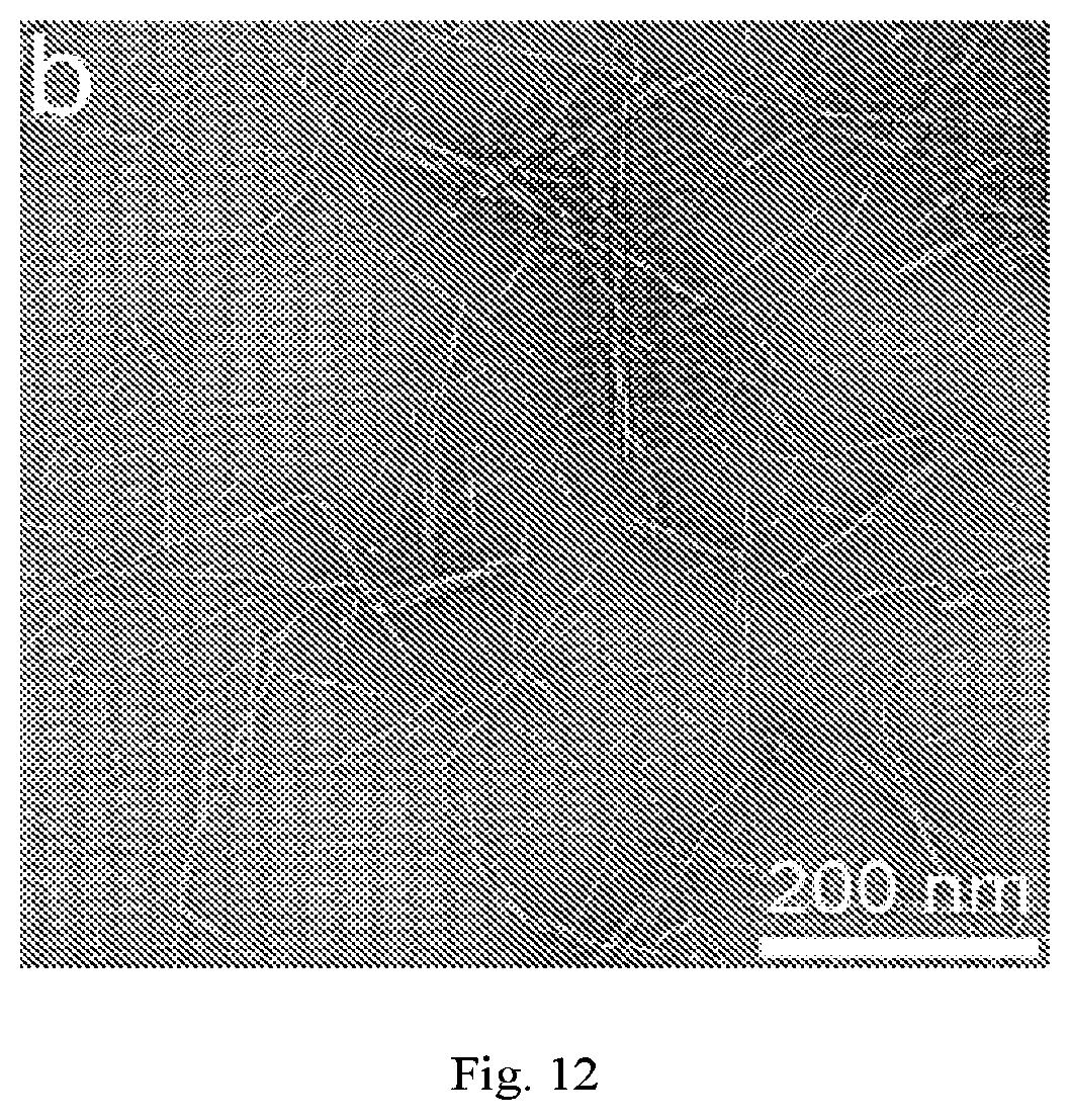 Patent US12320069 Figure 12 – Carboxylated cellulose nanofiber and preparation method thereof