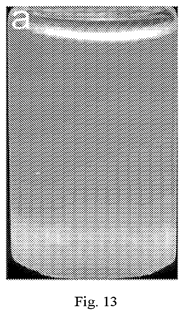 Patent US12320069 Figure 13 – Carboxylated cellulose nanofiber and preparation method thereof