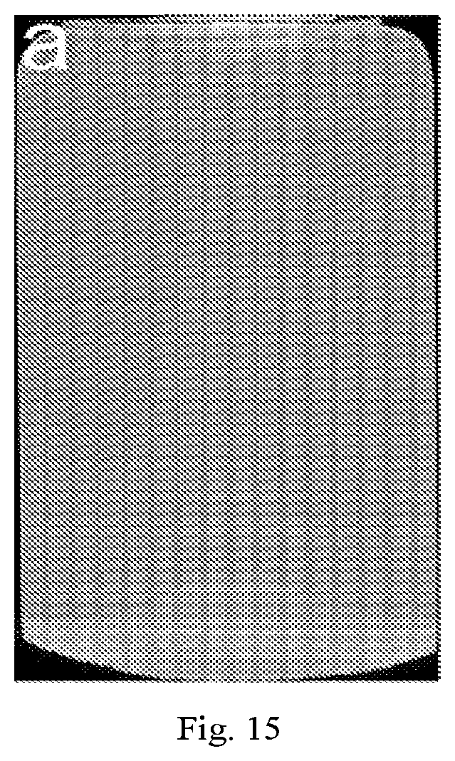 Patent US12320069 Figure 15 – Carboxylated cellulose nanofiber and preparation method thereof