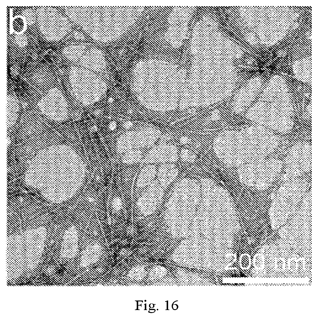 Patent US12320069 Figure 16 – Carboxylated cellulose nanofiber and preparation method thereof