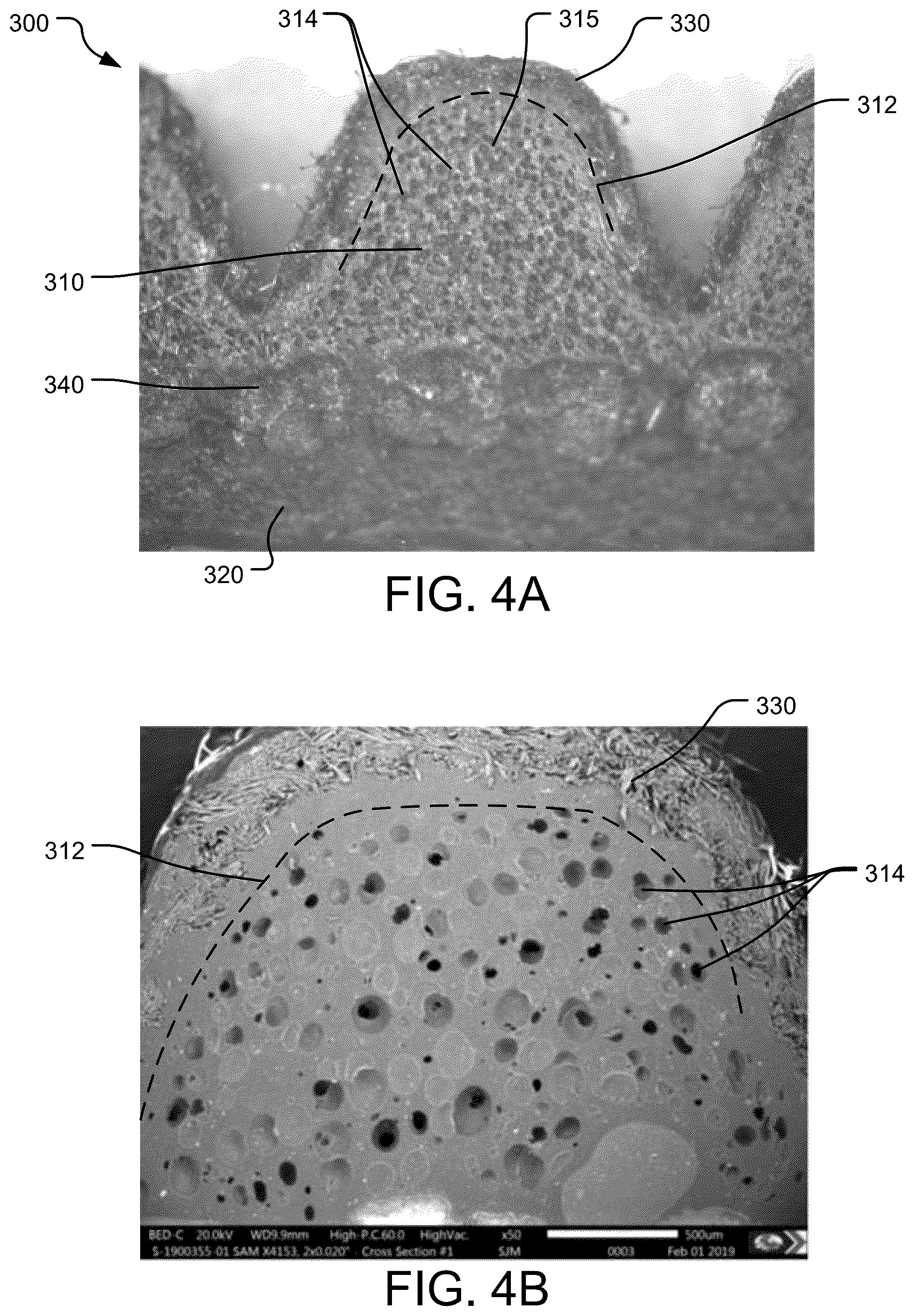 Patent US12320405 Figure 4 – Drive belts including foamed undercord layers and methods of manufacturing the same