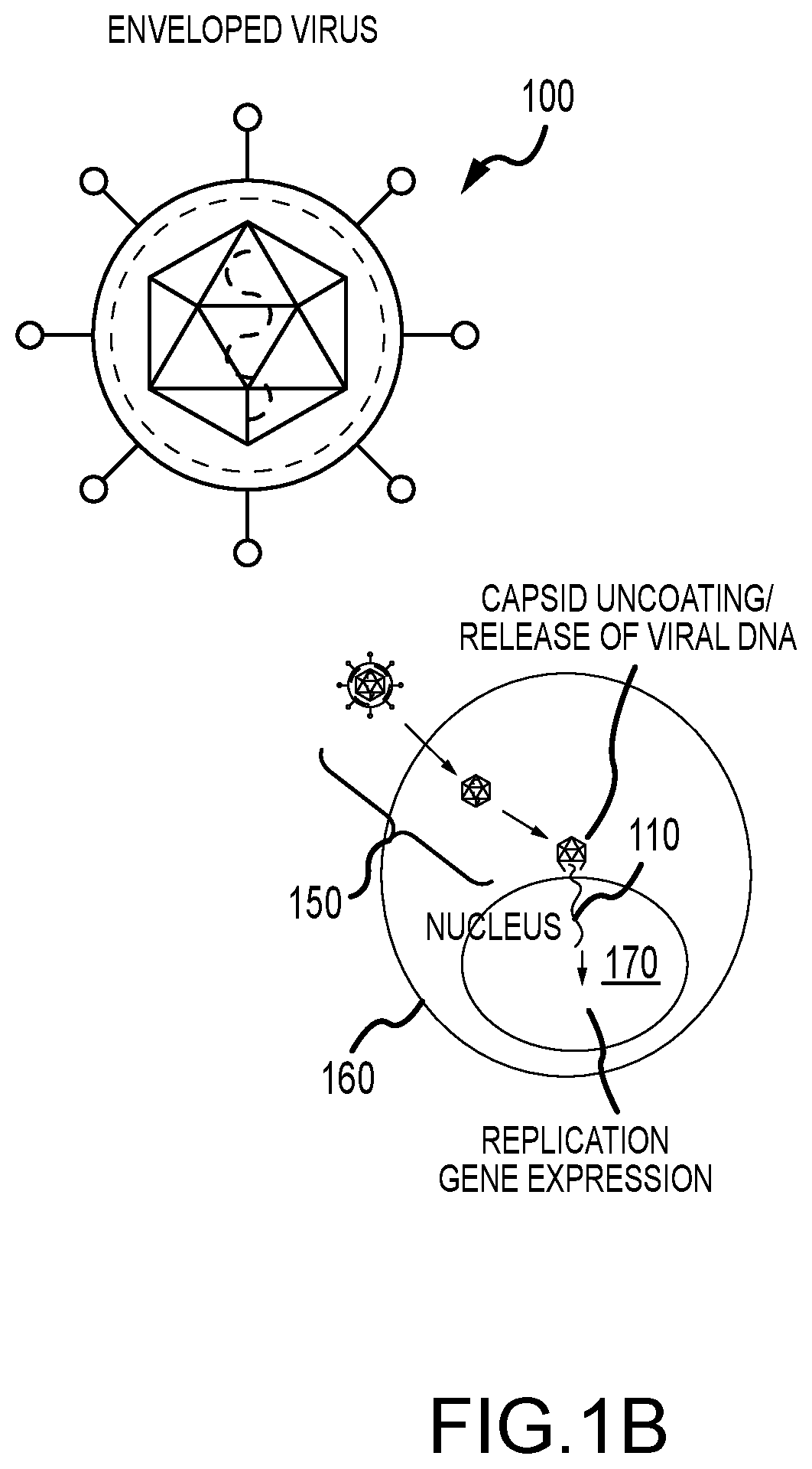 Patent US12320702 Figure 2 – Pathogen detection and neutralization using deep UV-C generation via seeded Raman amplification and second harmonic generation