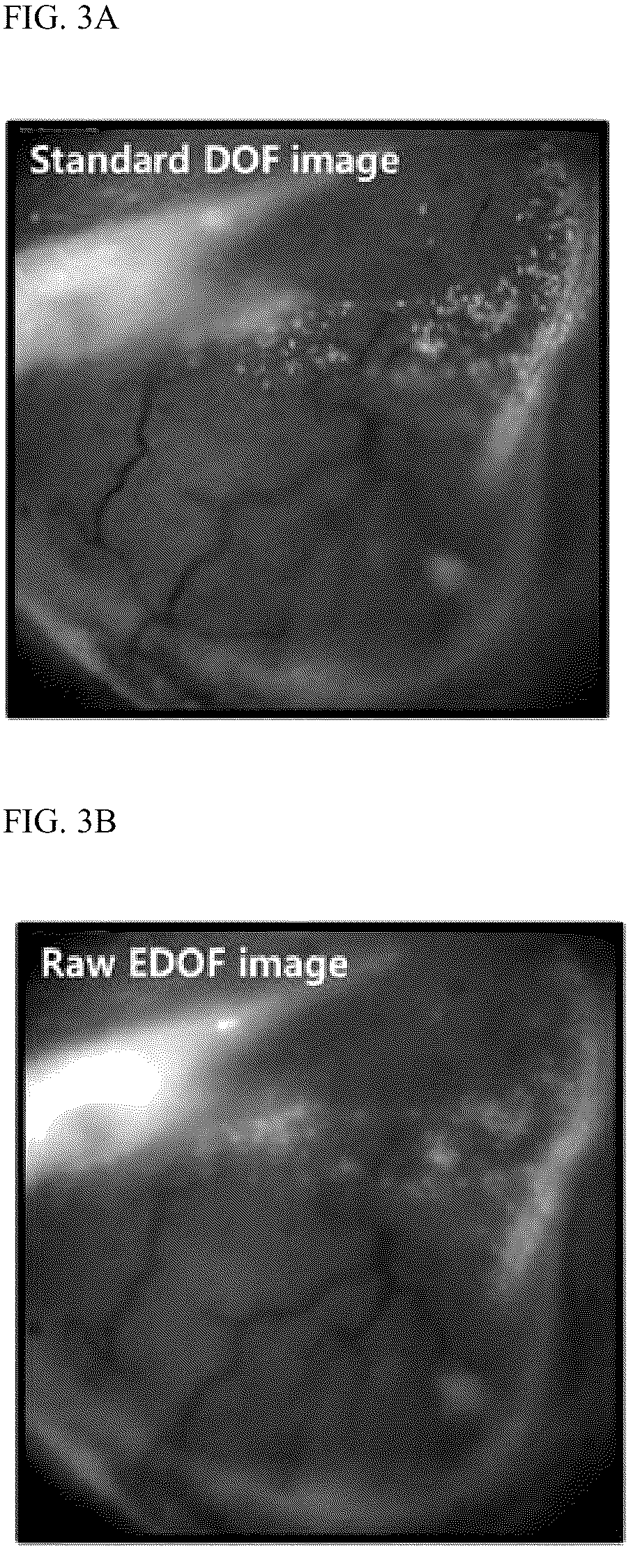 Patent US12320732 Figure 3 – Apparatus and method for imaging examination of cells on surface of living tissue using moxifloxacin