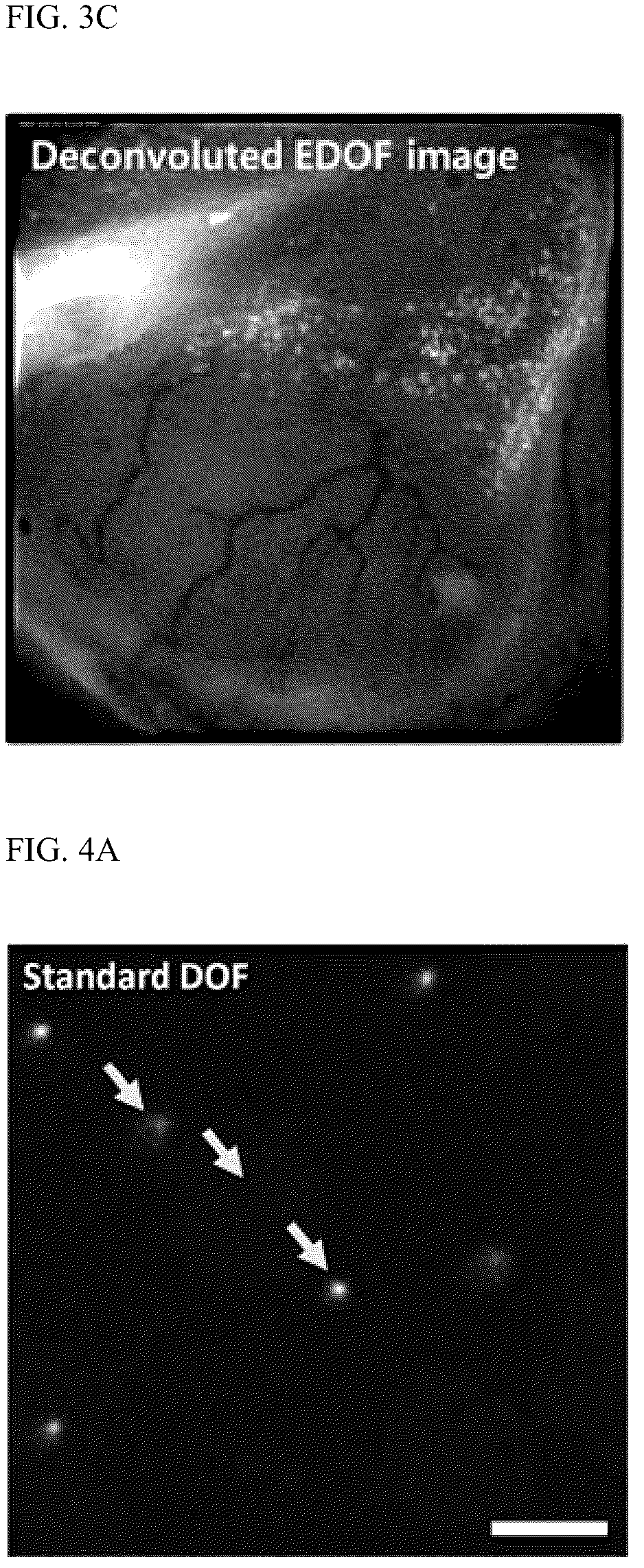 Patent US12320732 Figure 4 – Apparatus and method for imaging examination of cells on surface of living tissue using moxifloxacin
