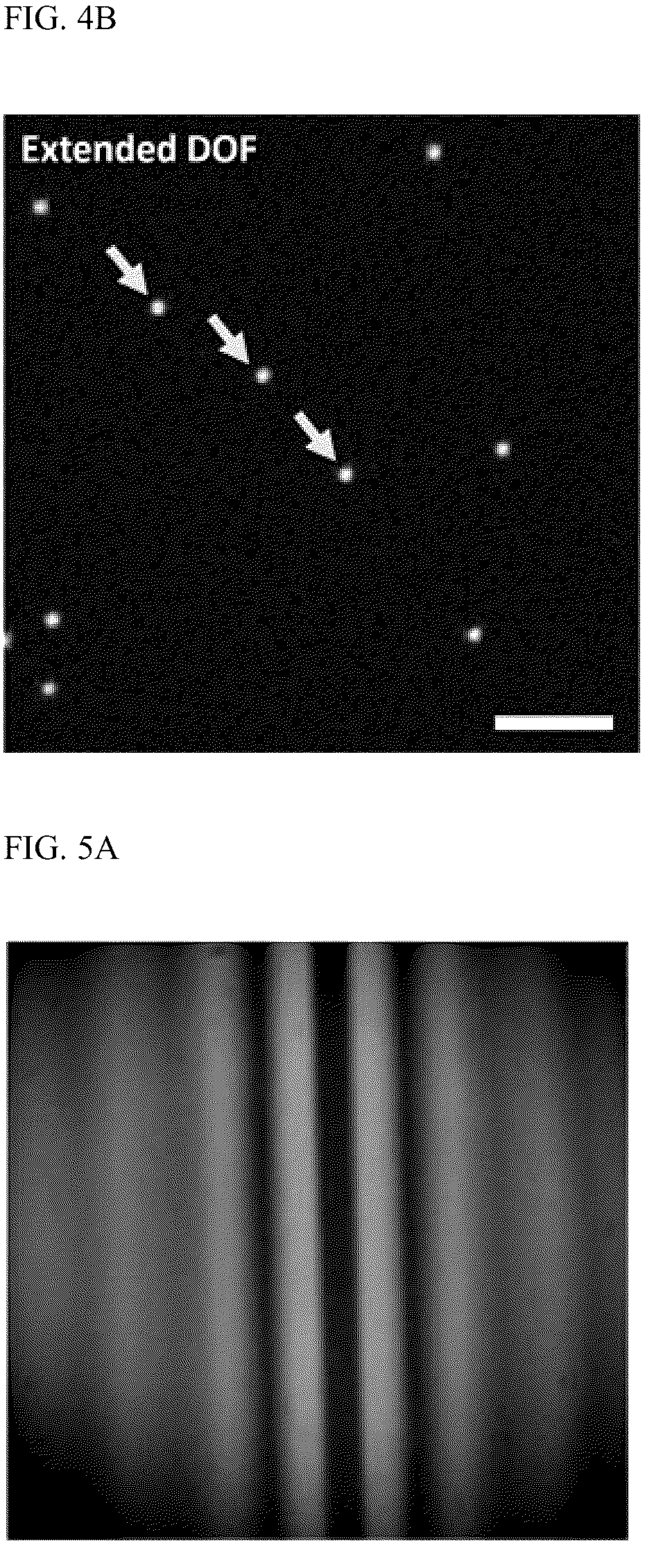 Patent US12320732 Figure 5 – Apparatus and method for imaging examination of cells on surface of living tissue using moxifloxacin