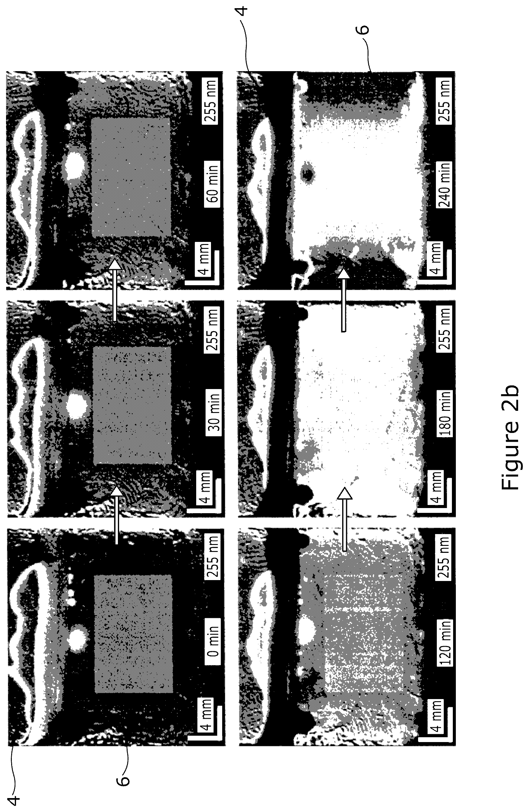 Patent US12320737 Figure 3 – Membrane permeation device and corresponding method