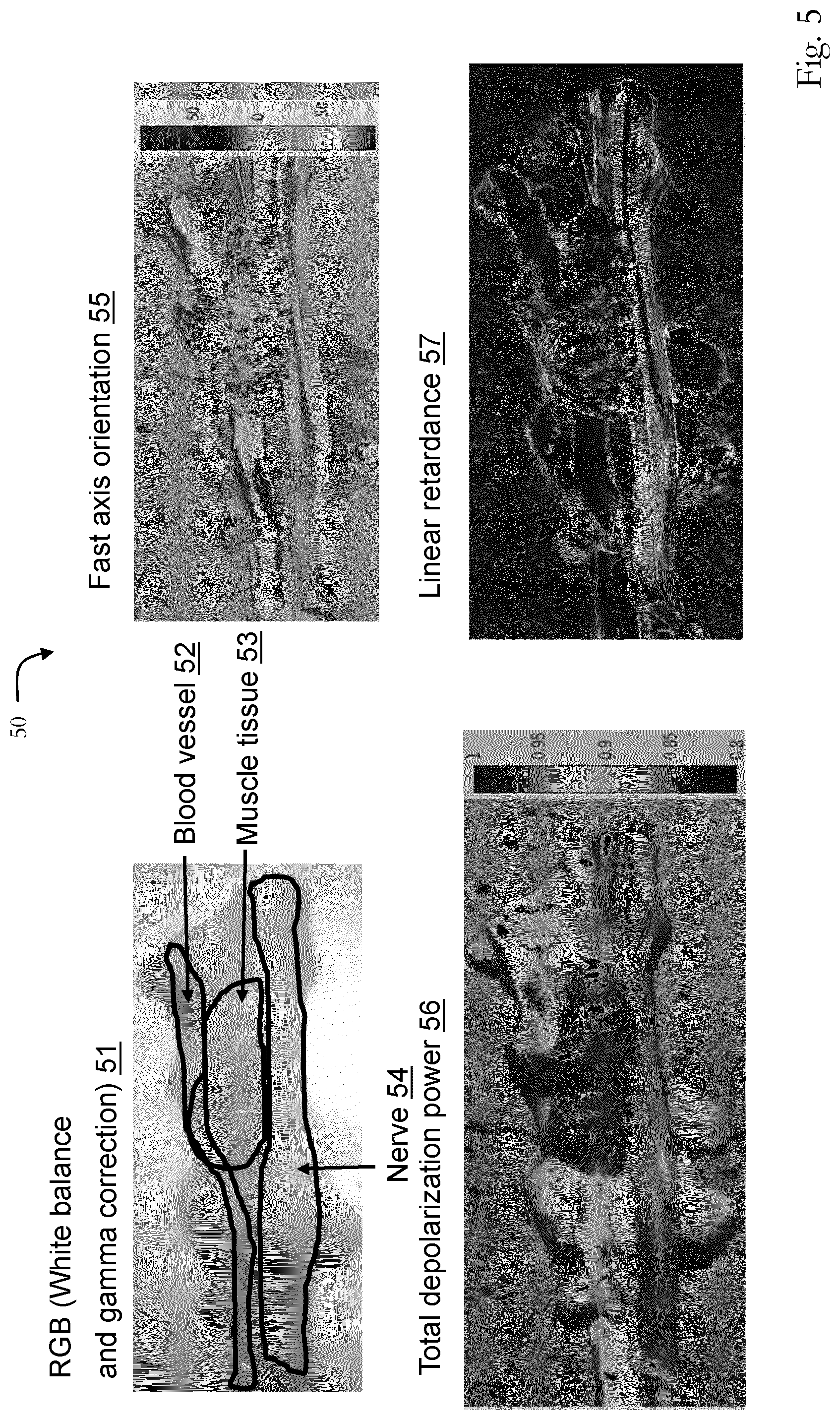 Patent US12320741 Figure 4 – Polarization imaging system and polarization imaging method