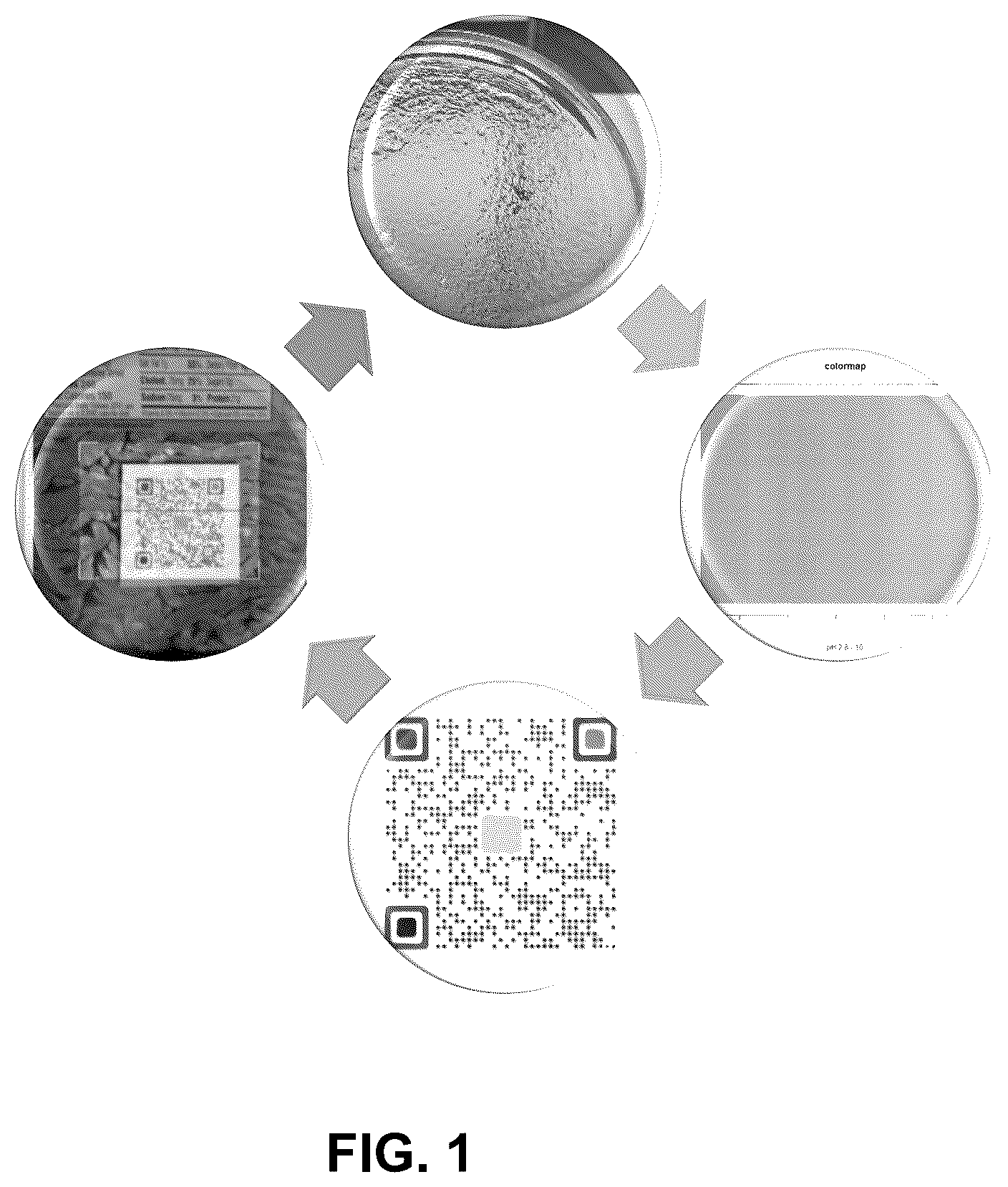 Patent US12320754 Figure 1 – Devices and methods for detecting or monitoring the quality of food products