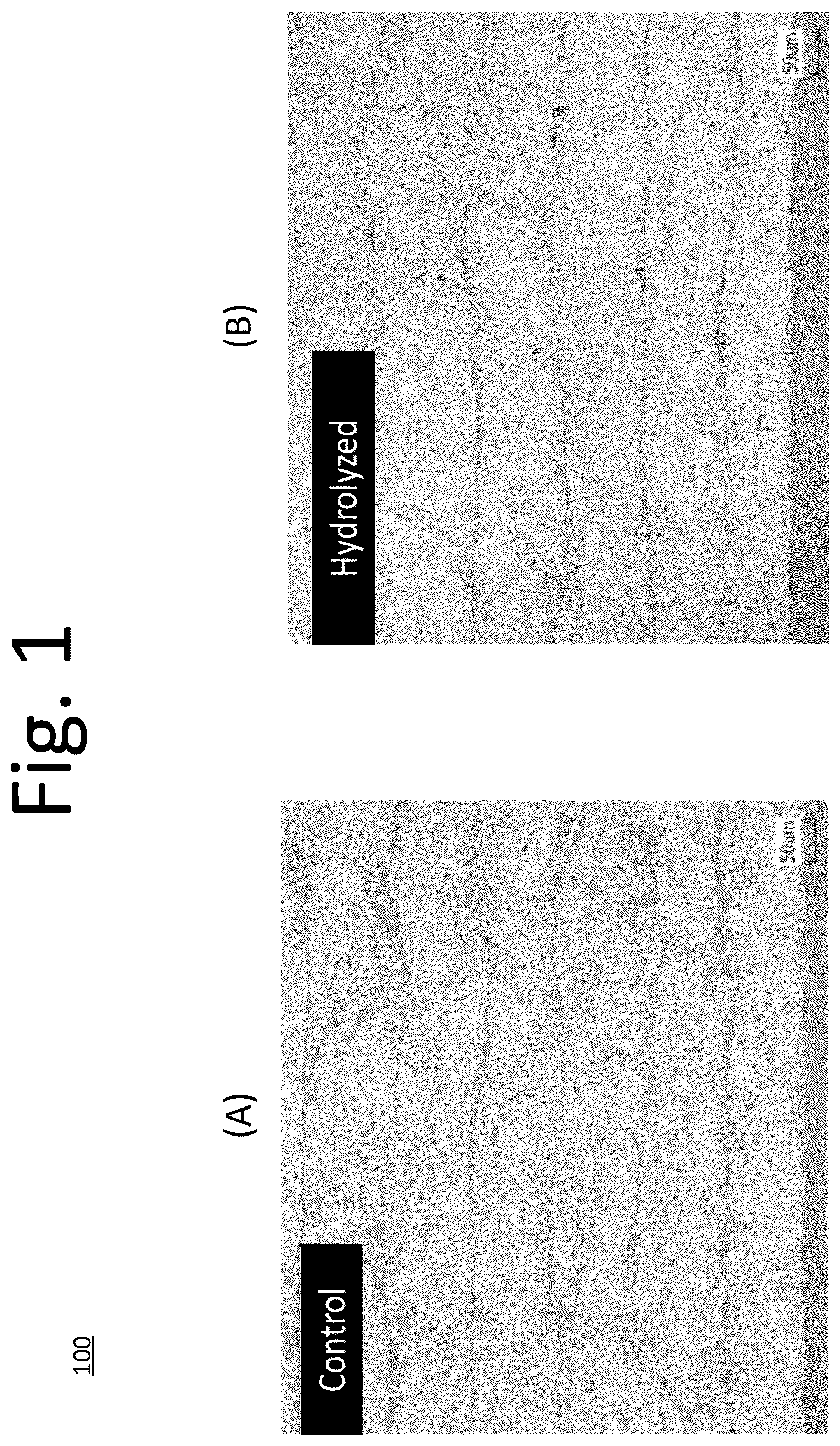 Patent US12320765 Figure 1 – Quality control evaluation method of cyanate ester matrix resin material within CFRP composite concerning localized hydrolytic degradation