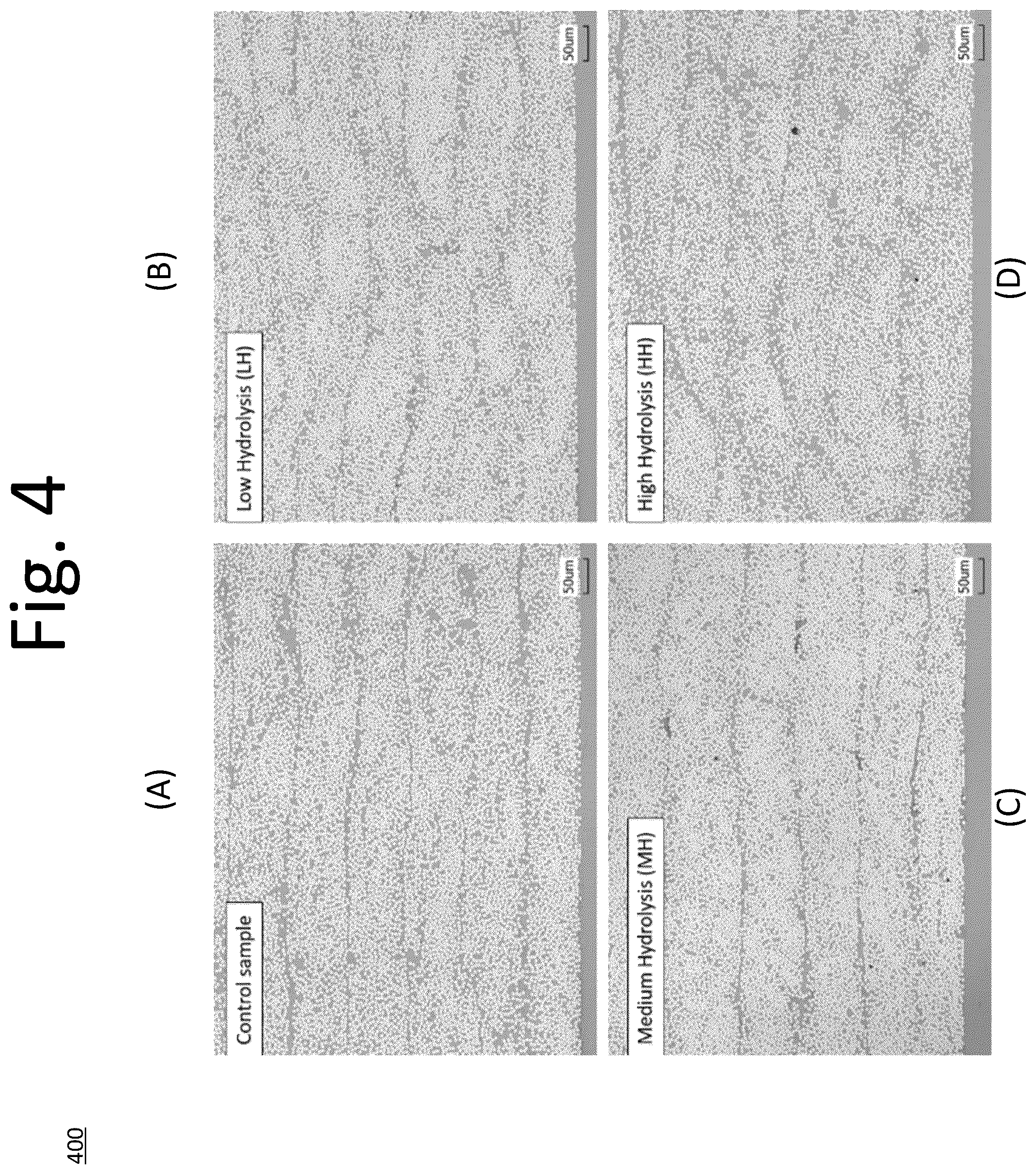 Patent US12320765 Figure 4 – Quality control evaluation method of cyanate ester matrix resin material within CFRP composite concerning localized hydrolytic degradation