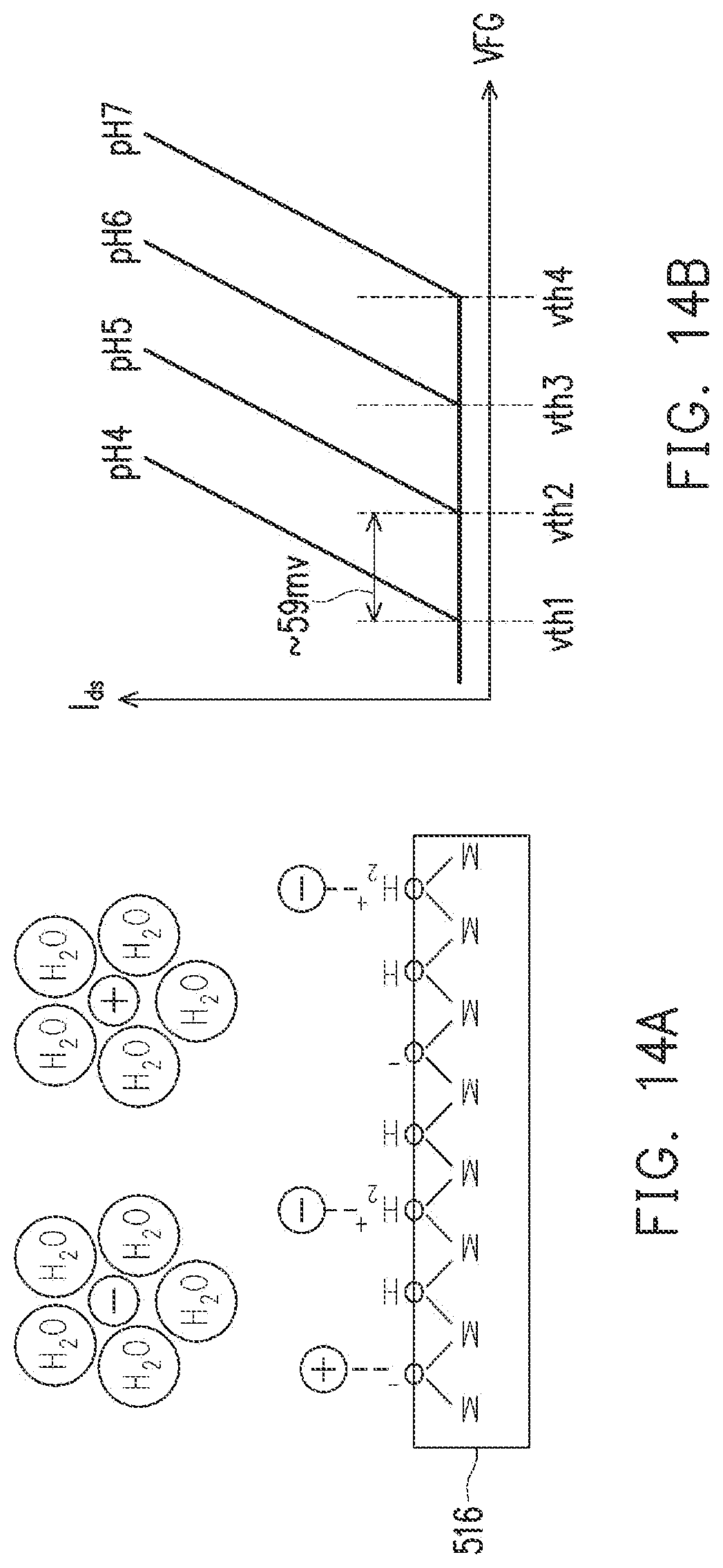 Patent US12320775 Figure 19 – Bio-field effect transistor device