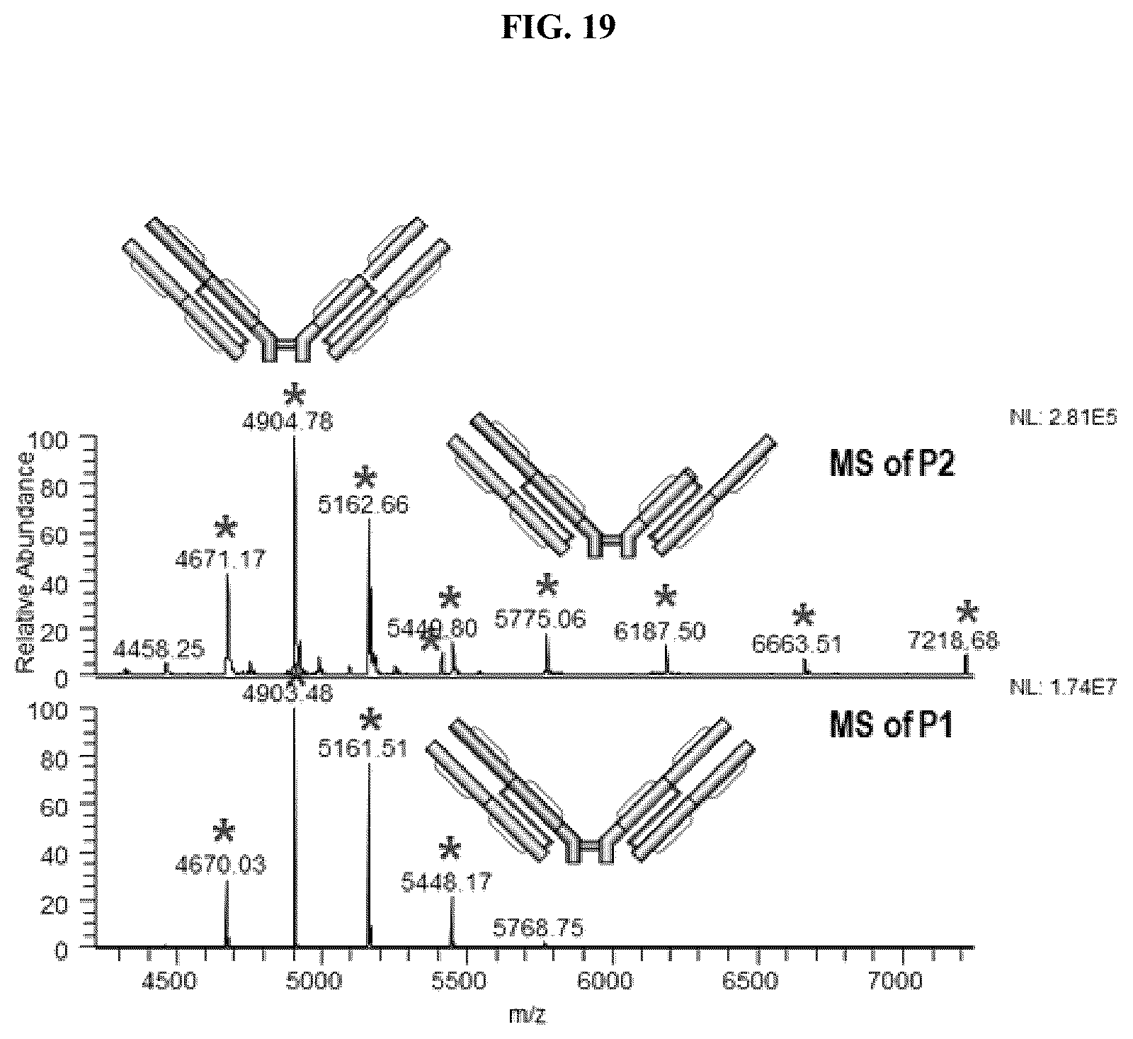Patent US12320790 Figure 19 – Method and system of identifying and quantifying antibody fragmentation