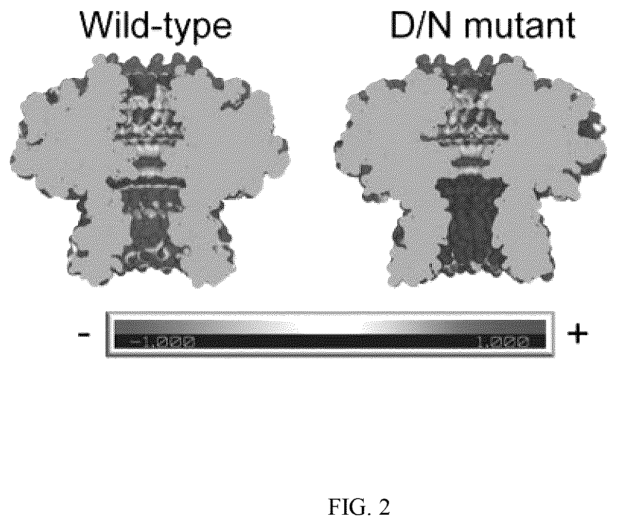 Patent US12320796 Figure 2 – Lipid-free anchoring of thermophilic bacteriophage G20c portal adapter into solid-state nanopores