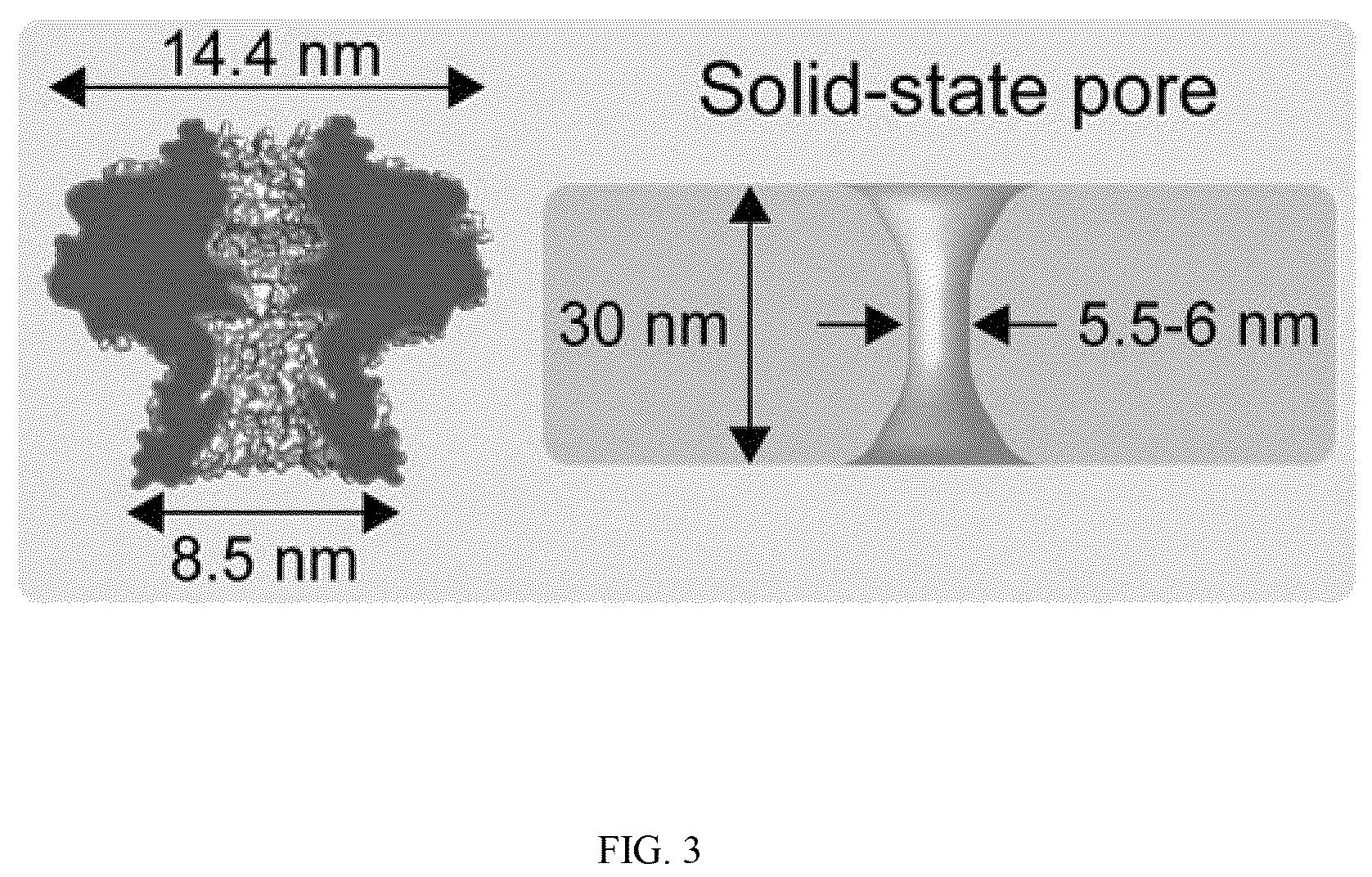 Patent US12320796 Figure 3 – Lipid-free anchoring of thermophilic bacteriophage G20c portal adapter into solid-state nanopores