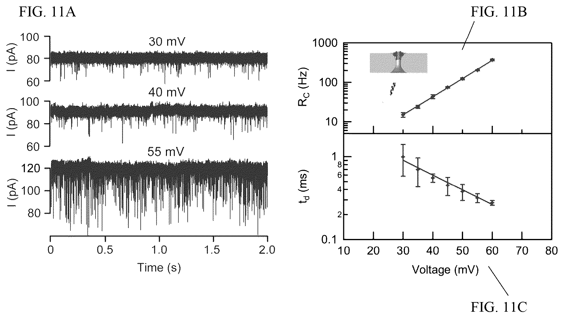 Patent US12320796 Figure 11 – Lipid-free anchoring of thermophilic bacteriophage G20c portal adapter into solid-state nanopores