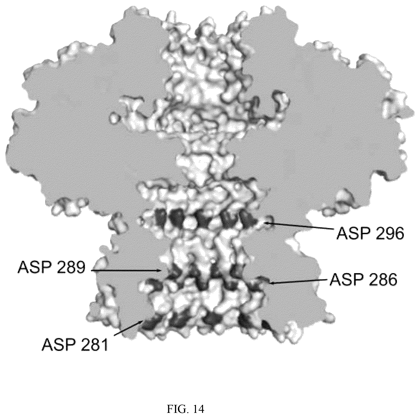 Patent US12320796 Figure 14 – Lipid-free anchoring of thermophilic bacteriophage G20c portal adapter into solid-state nanopores