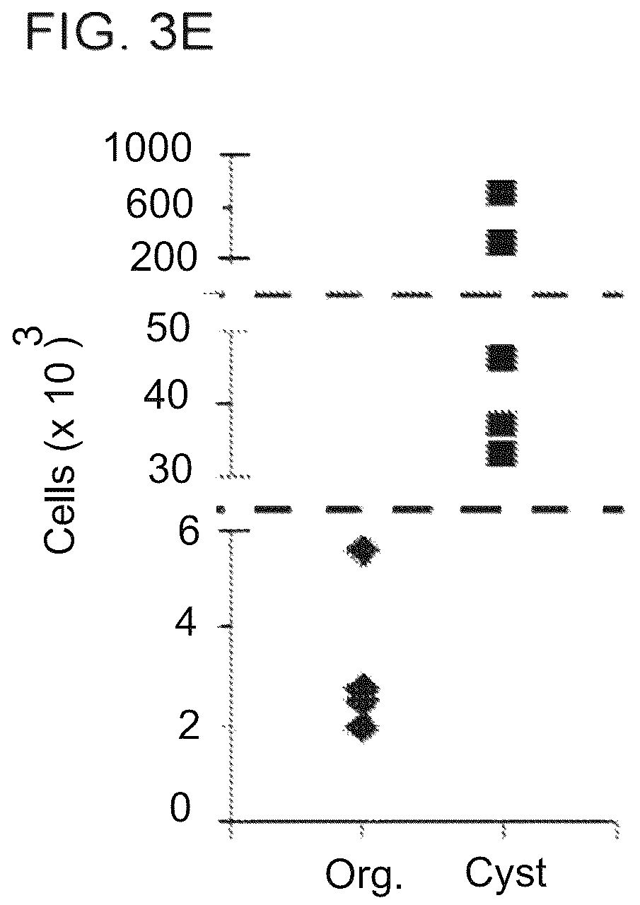 Patent US12320800 Figure 8 – High-throughput automation of organoids for identifying therapeutic strategies